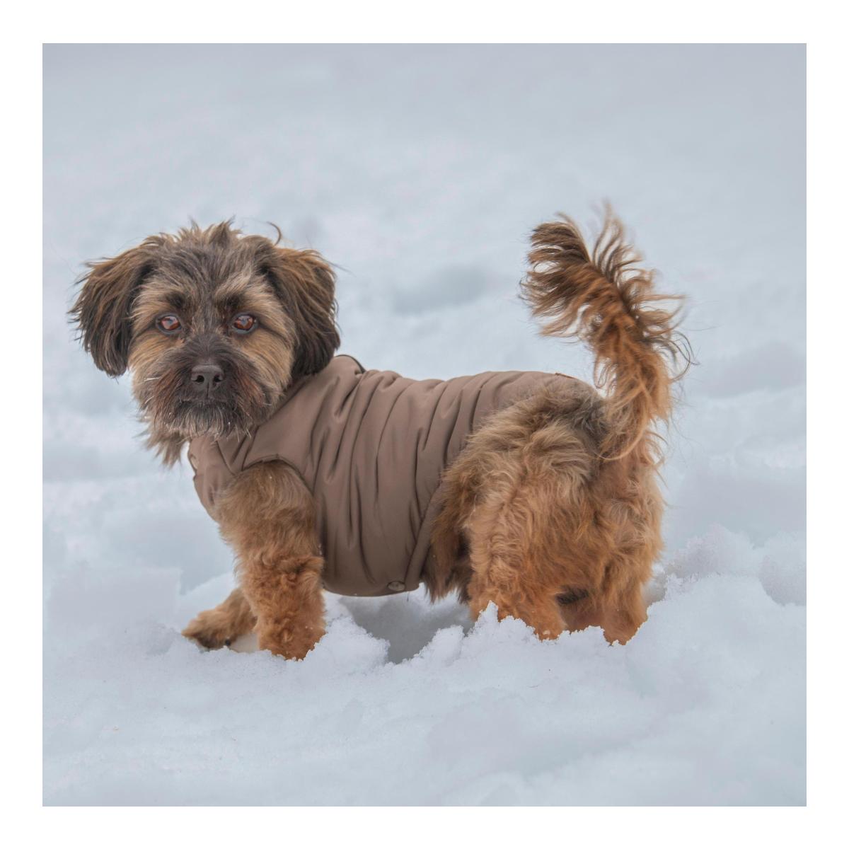Carolina Corrodi Hundemantel Saint Gervais