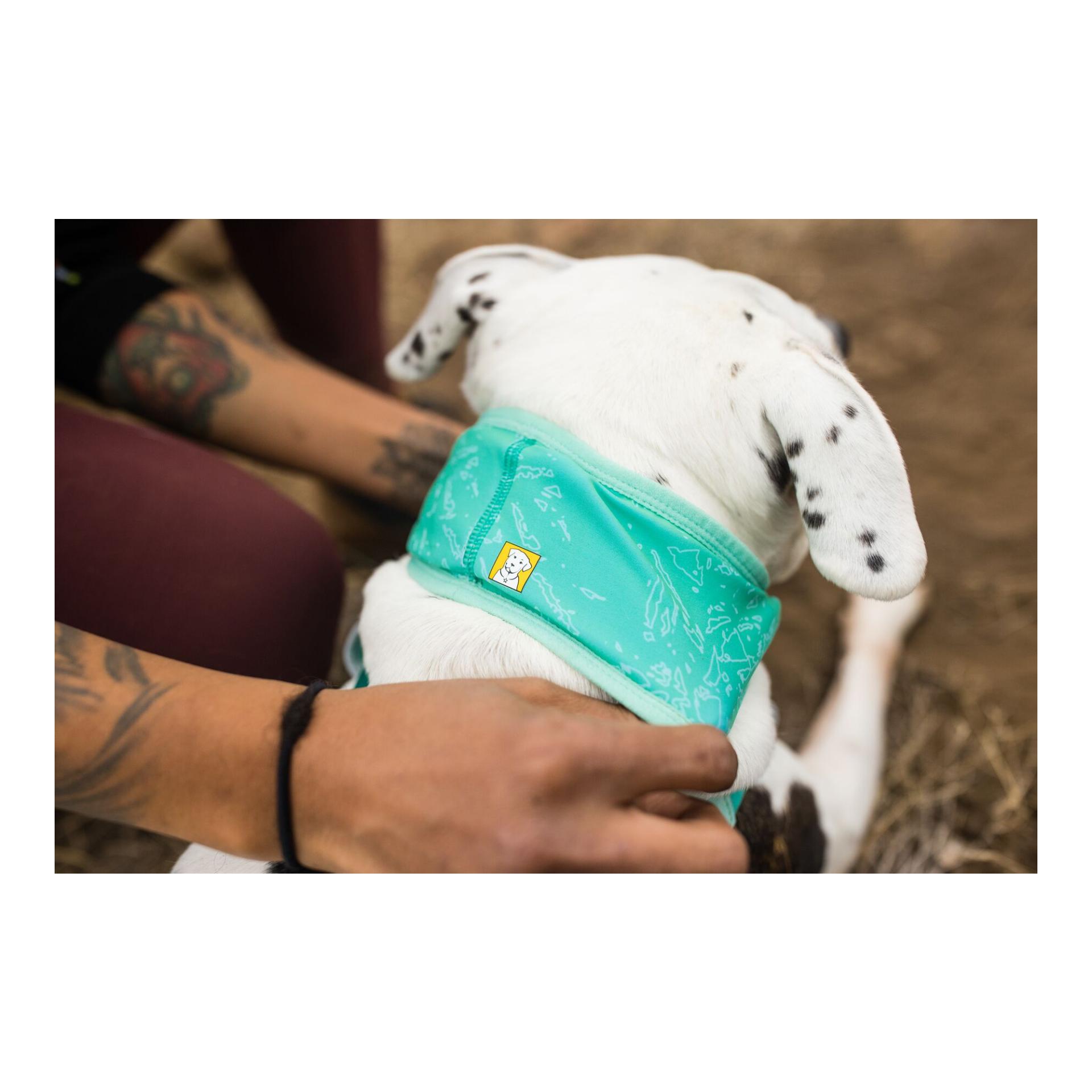 Ruffwear Swamp Cooler™ Halstuch
