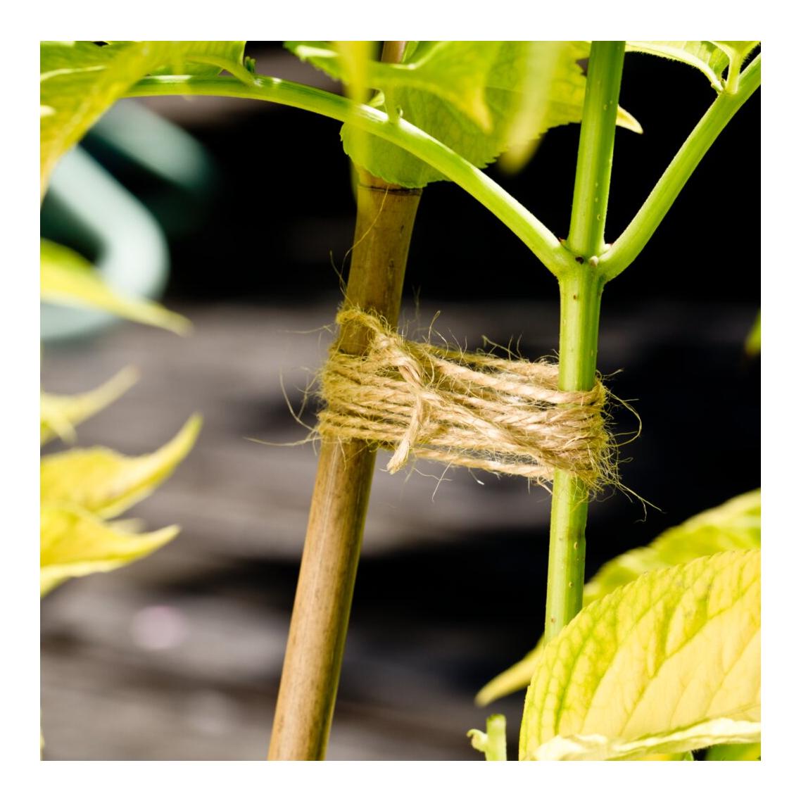 Windhager Fil de jardin à saumon ÖKO