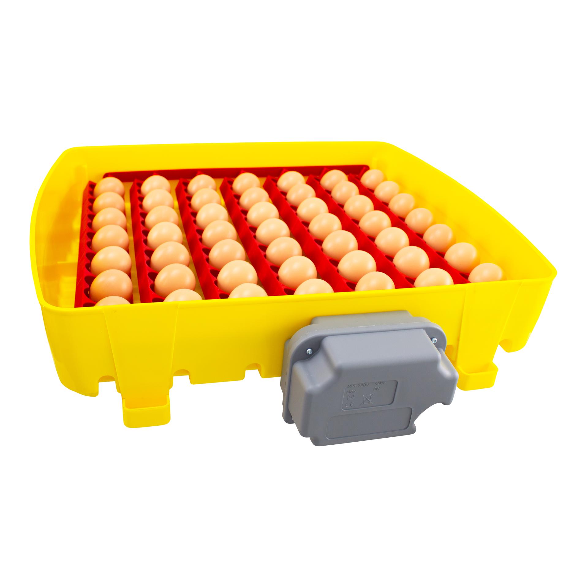River Couveuse automatique pour œufs ET49 Biomaster