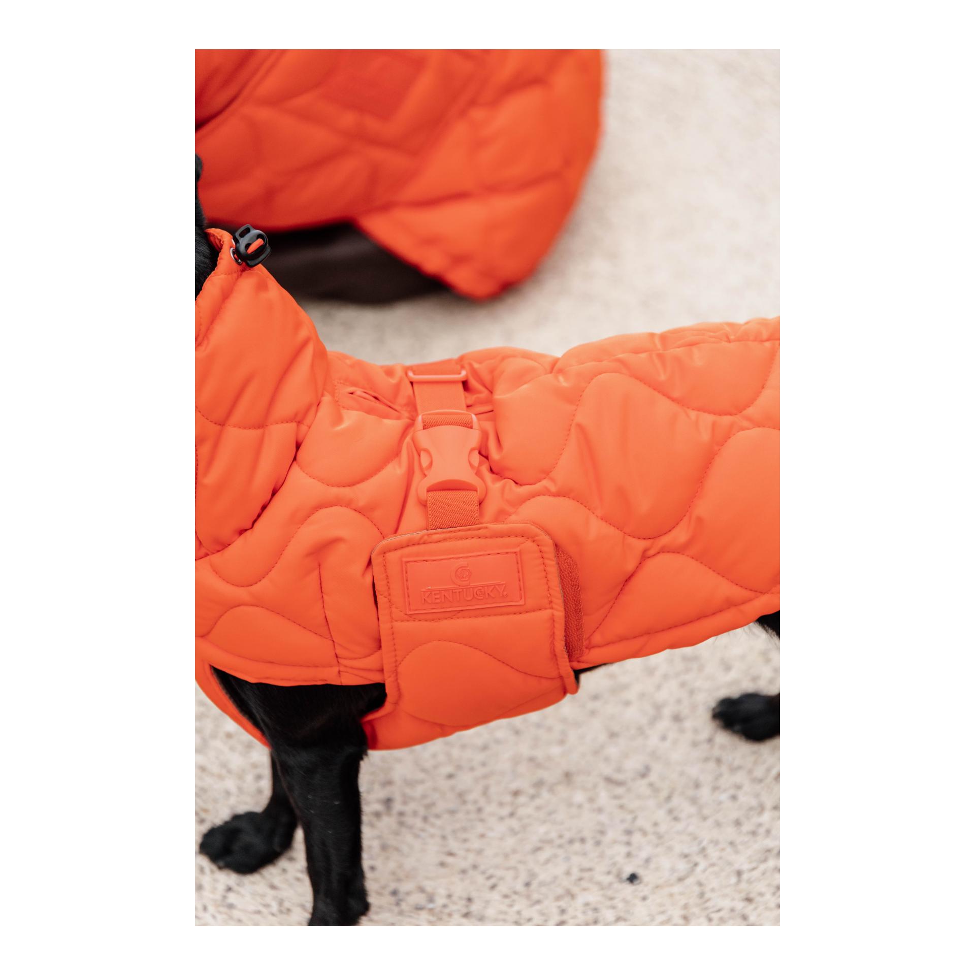 Kentucky Dogwear Manteau pour chien Pina - 160 g