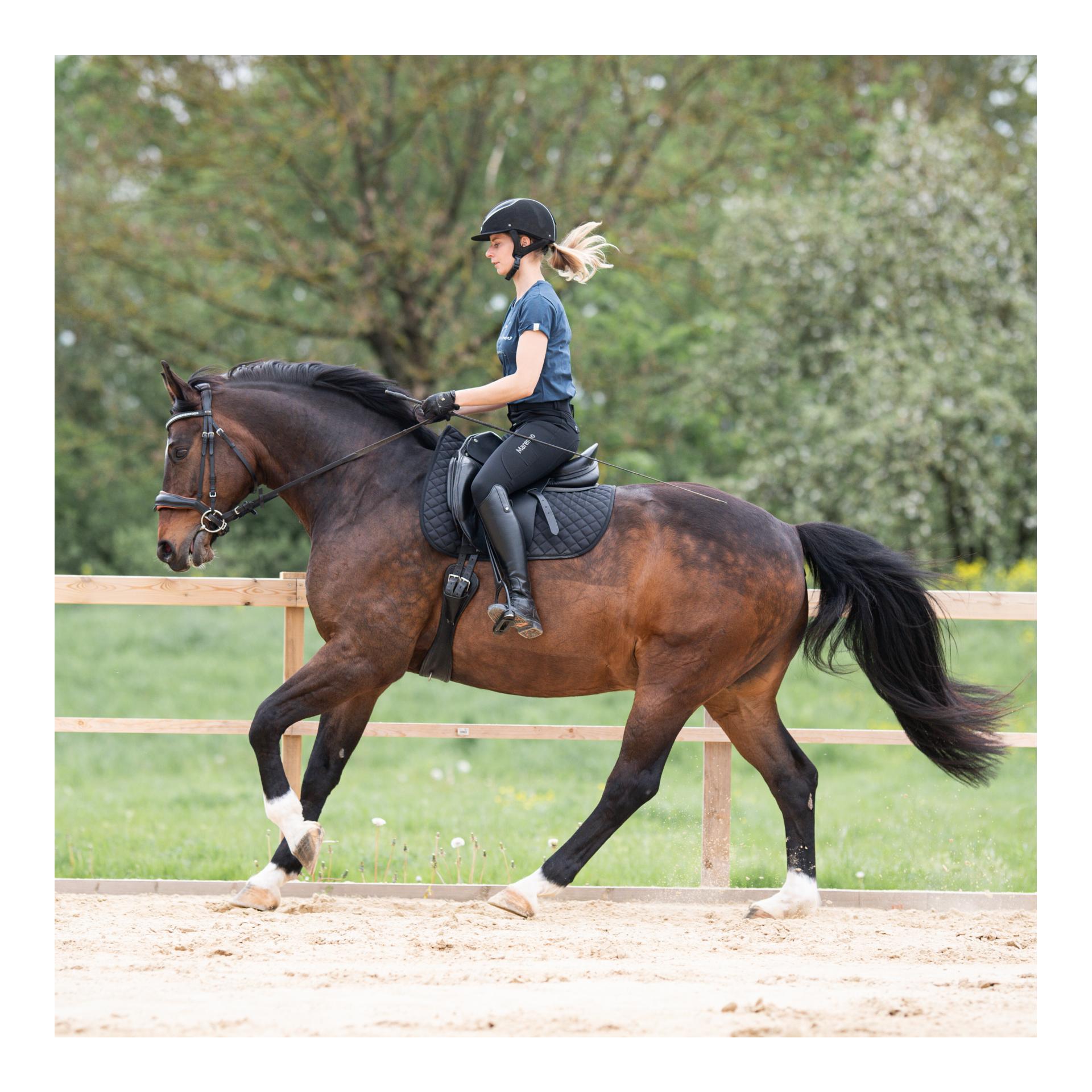 Marengo Reithose Motion Fullgrip