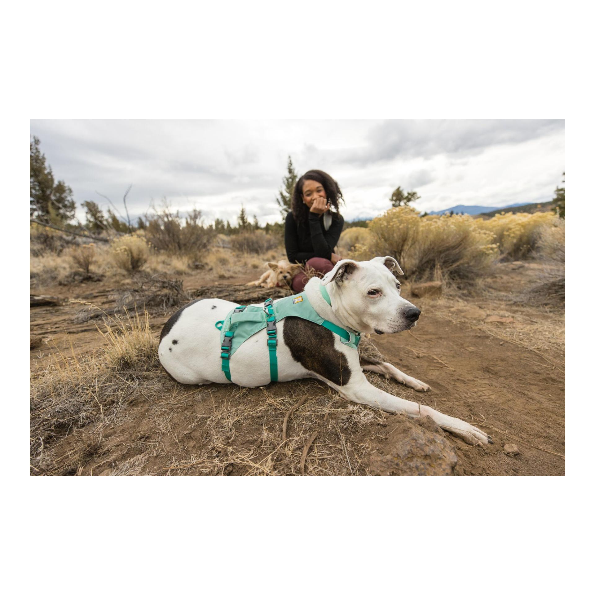 Ruffwear Flagline™ Hundegeschirr