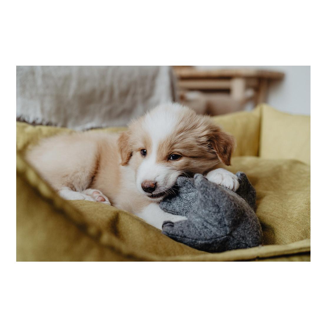 Hunter Jouet pour chien Eiby éléphant - gris