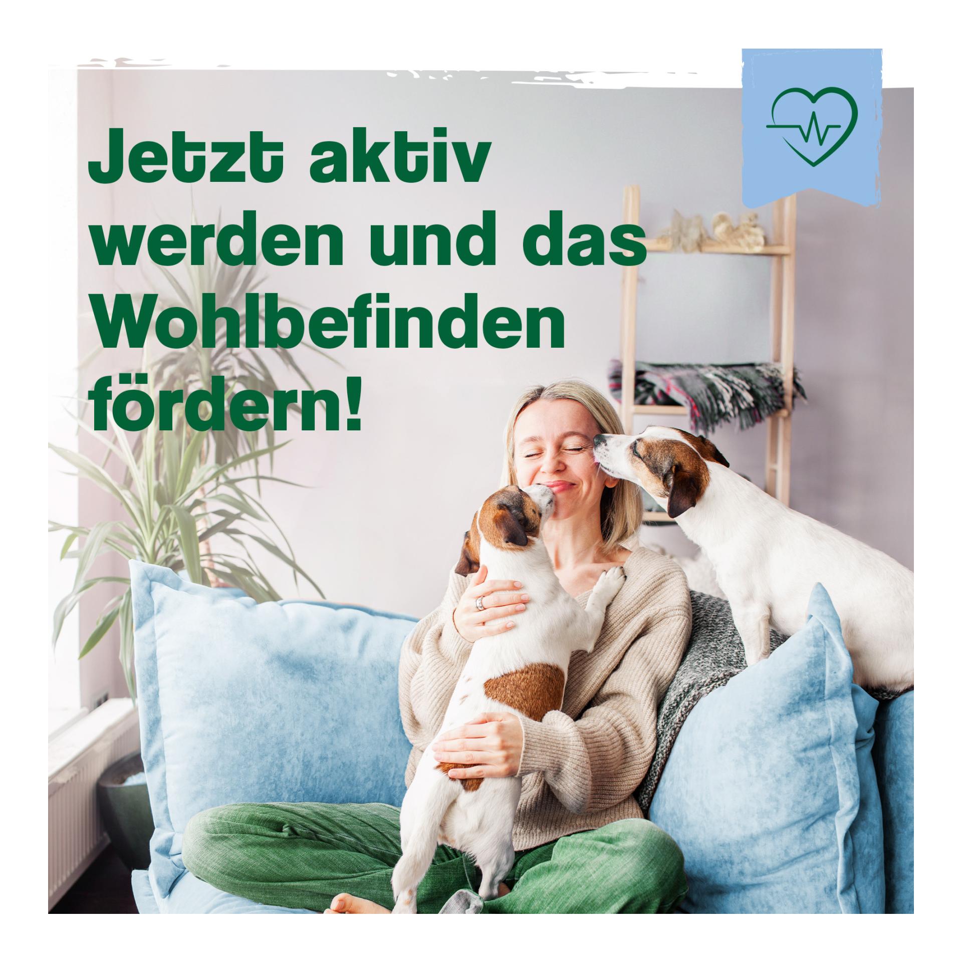 IdaPlus MultiVit Complex für Hunde