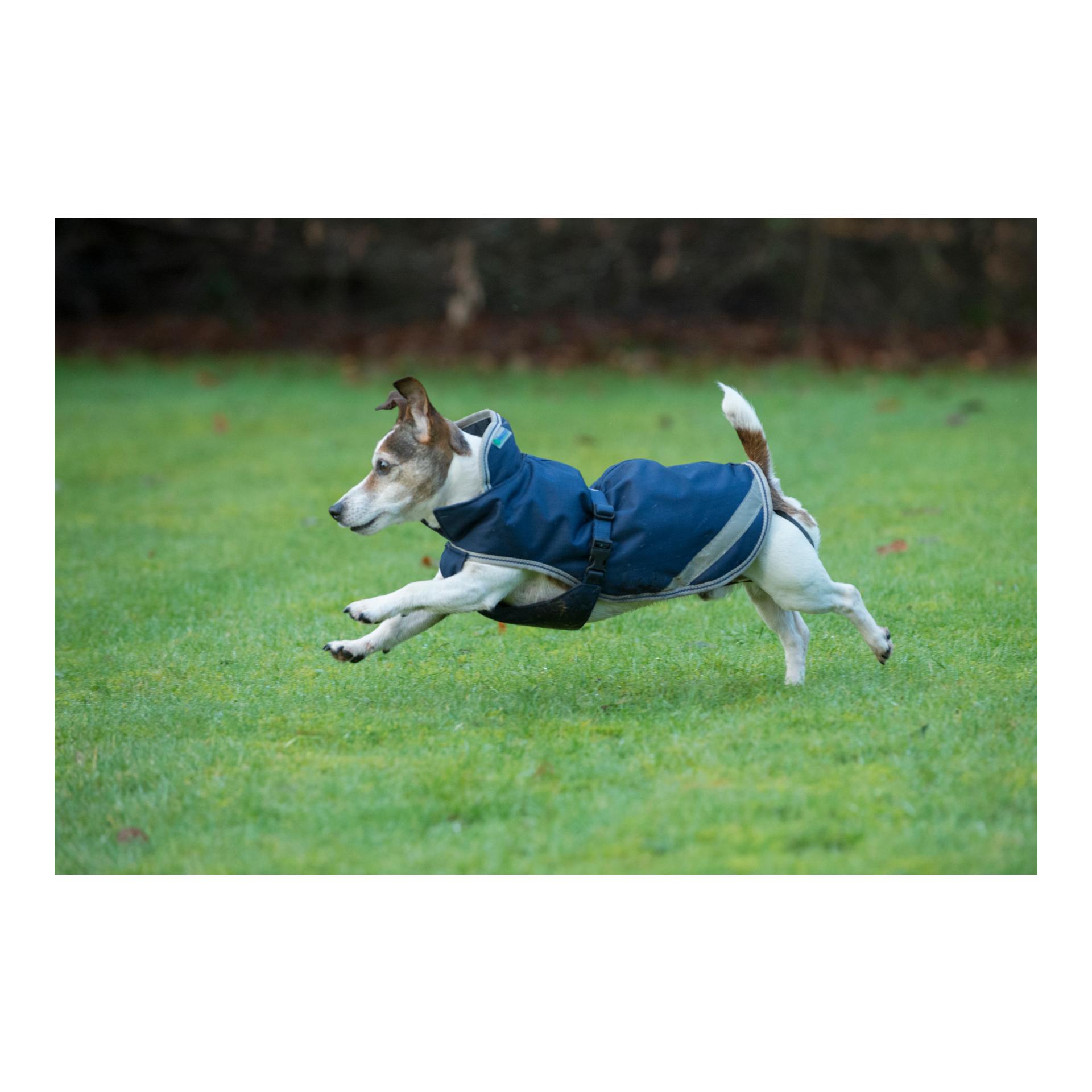 Bucas Hundedecke Freedom 300g