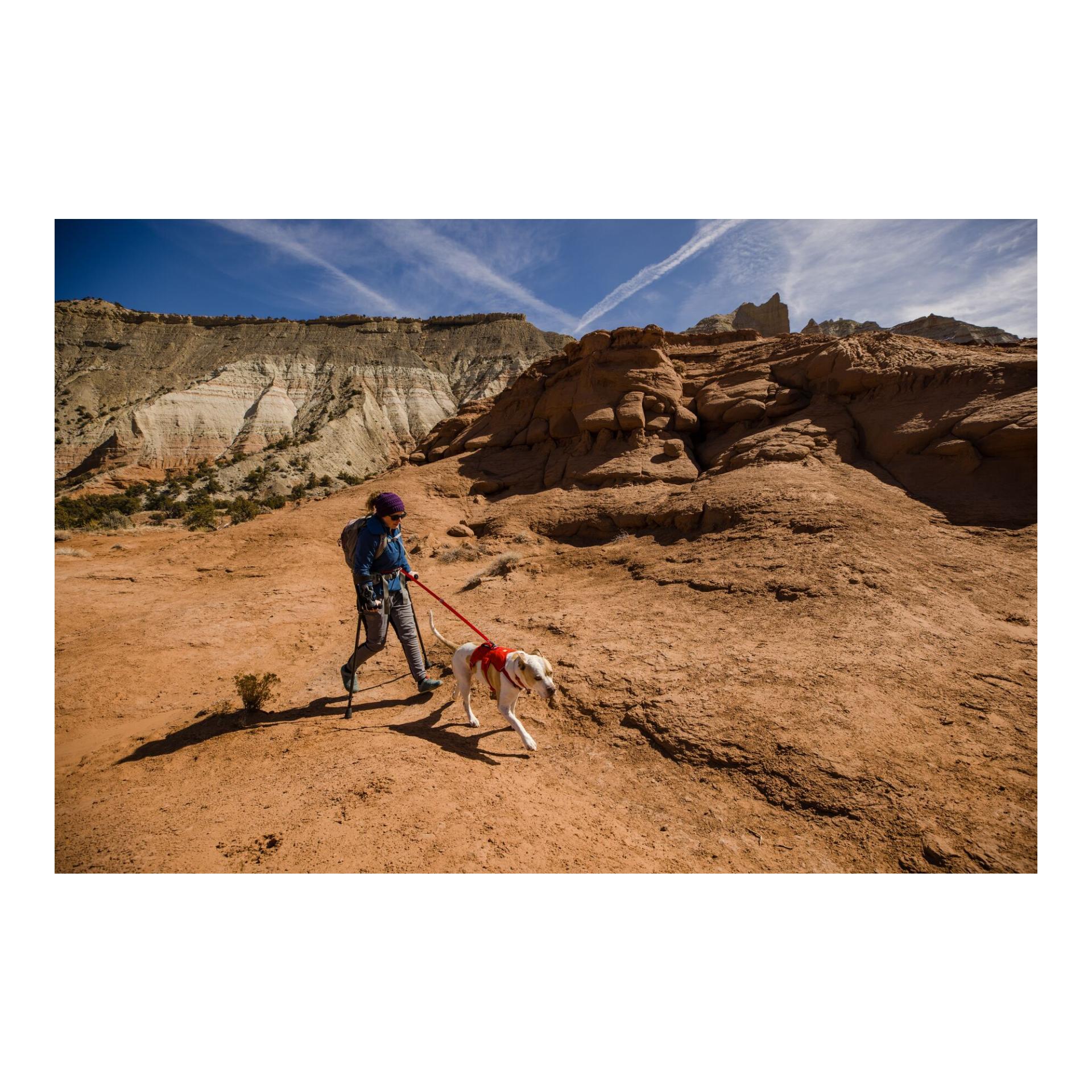 Ruffwear Web Master™ Geschirr