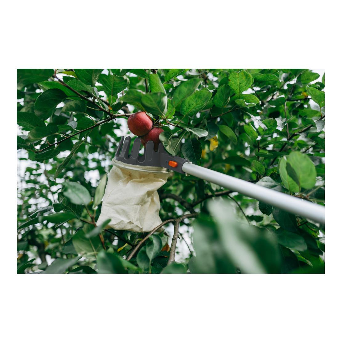 Bradas Obstpflücker mit Teleskopstiel