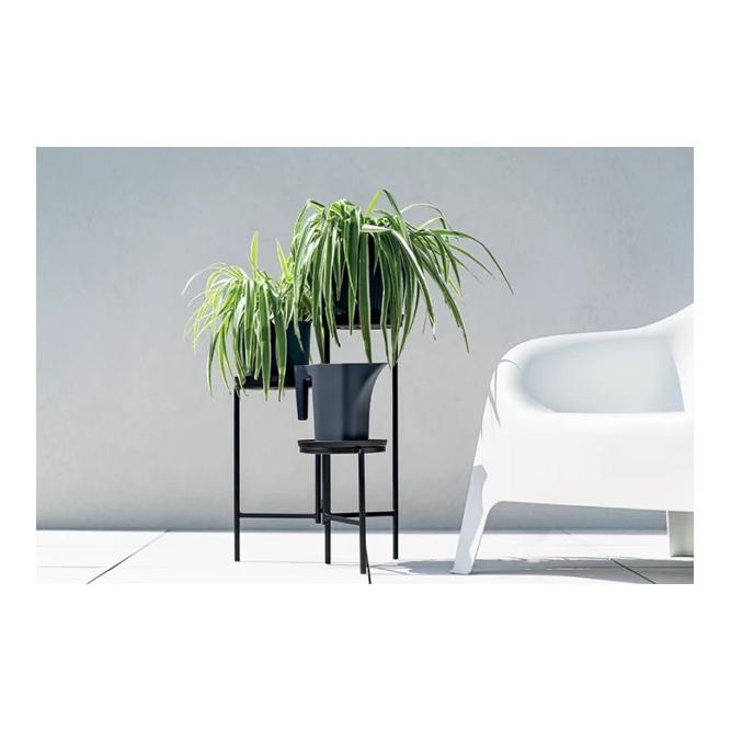Prosperplast Giesskanne Jug