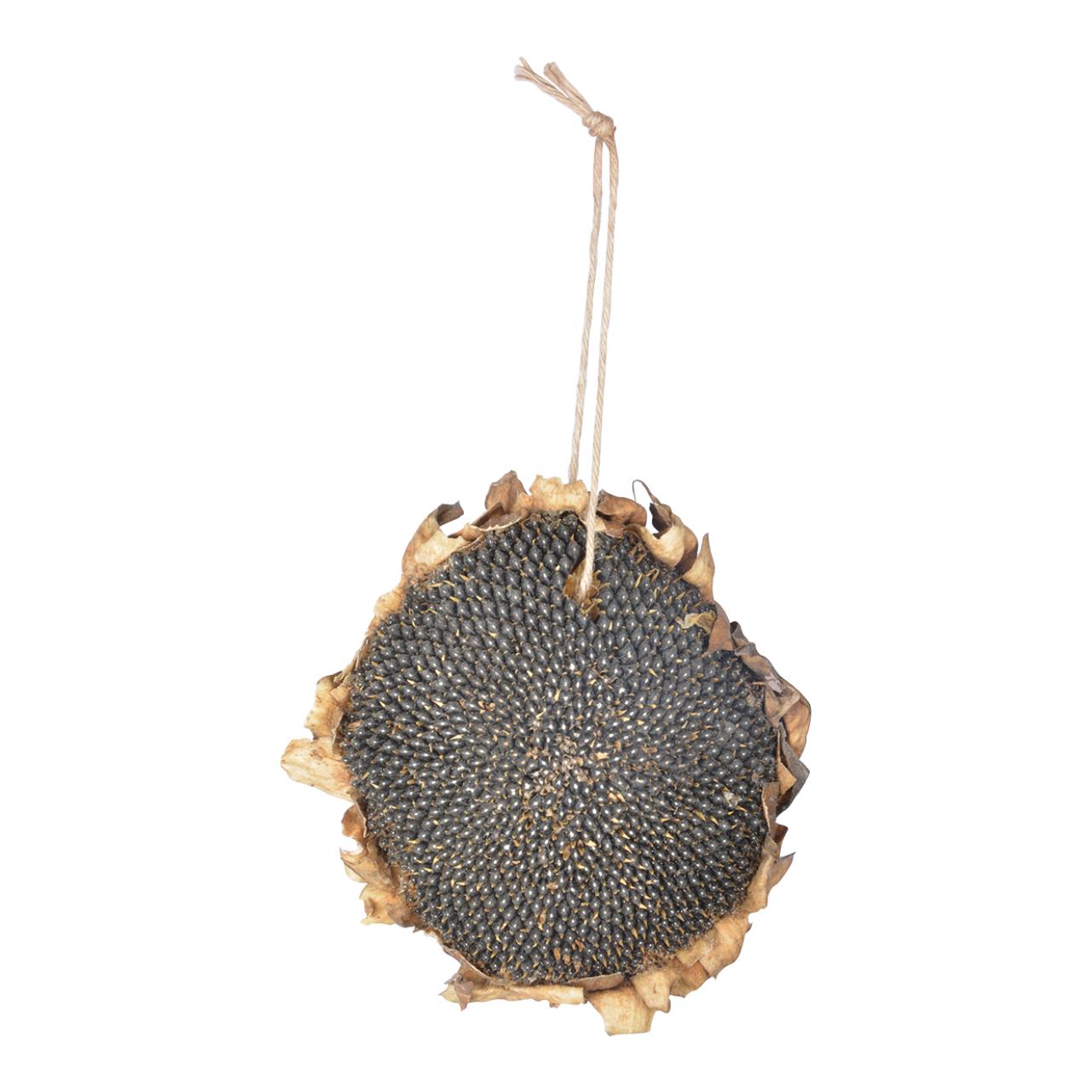 Esschert Getrocknete Sonnenblume