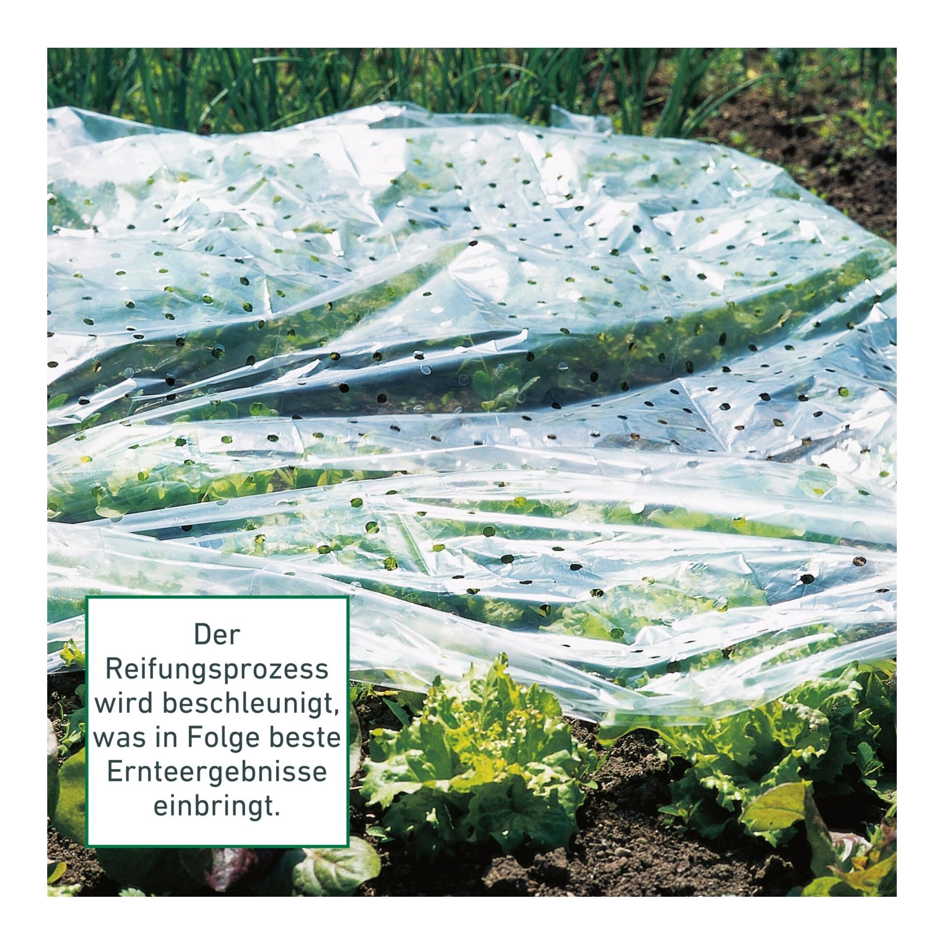 Windhager Frühbeet-Folie