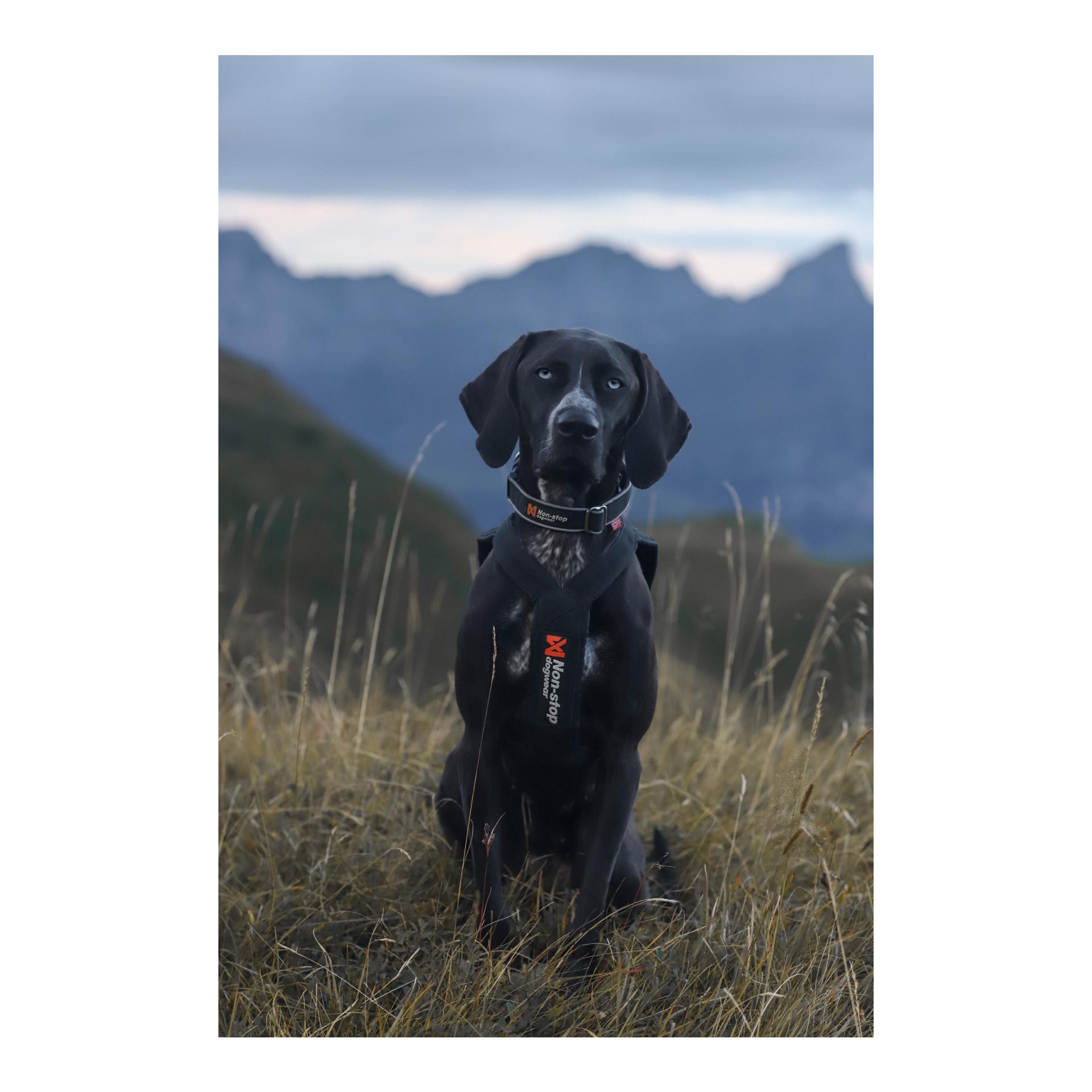 Non-stop Dogwear Collier polaire