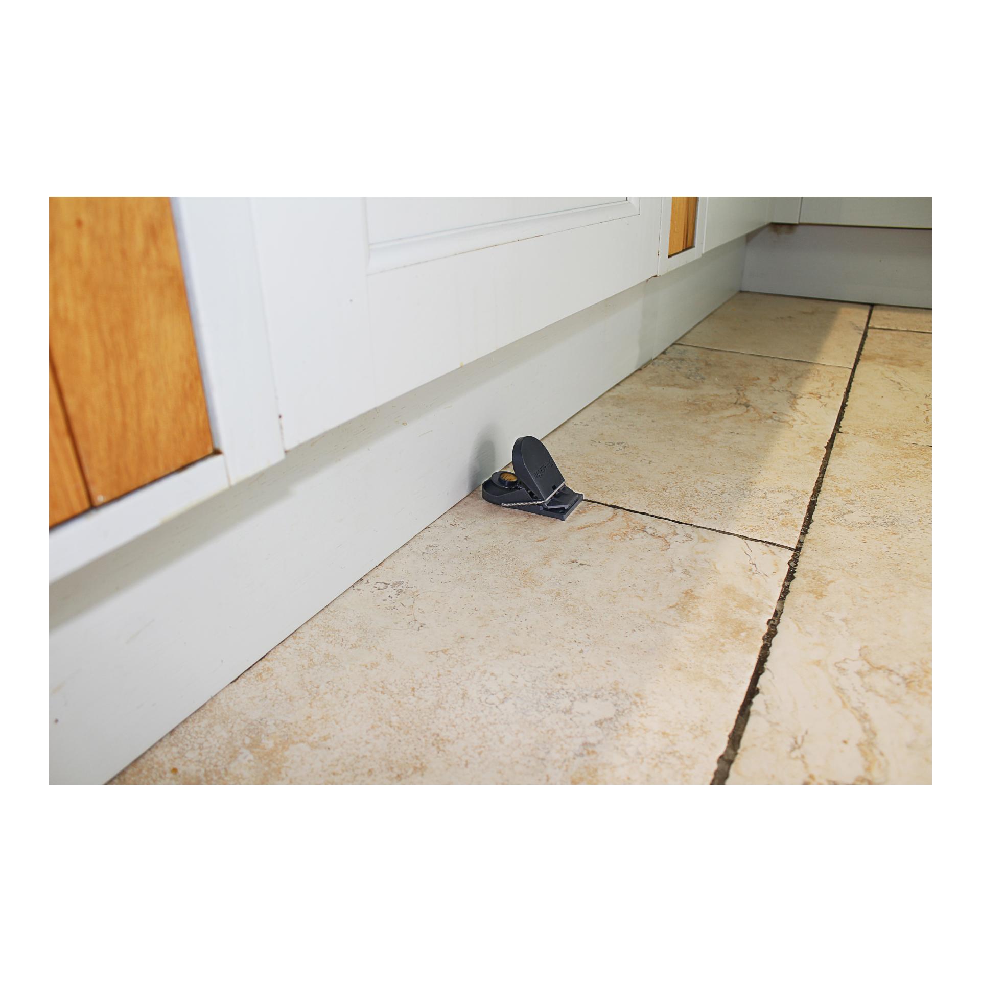 SWISSINNO Piège à souris Supercat - 2 pièces, appât inclus