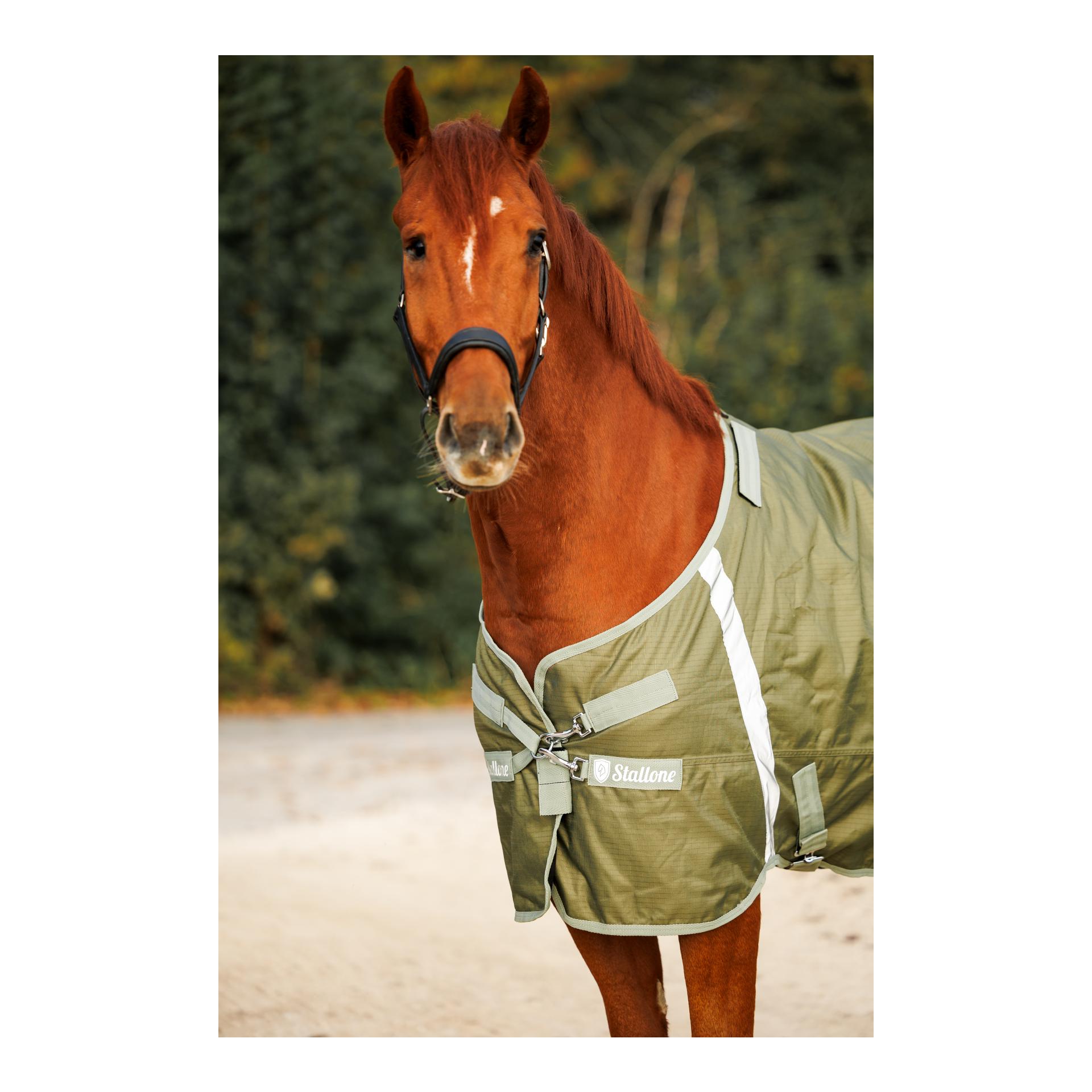 Stallone Weidedecke 100 g Outdoor Guard