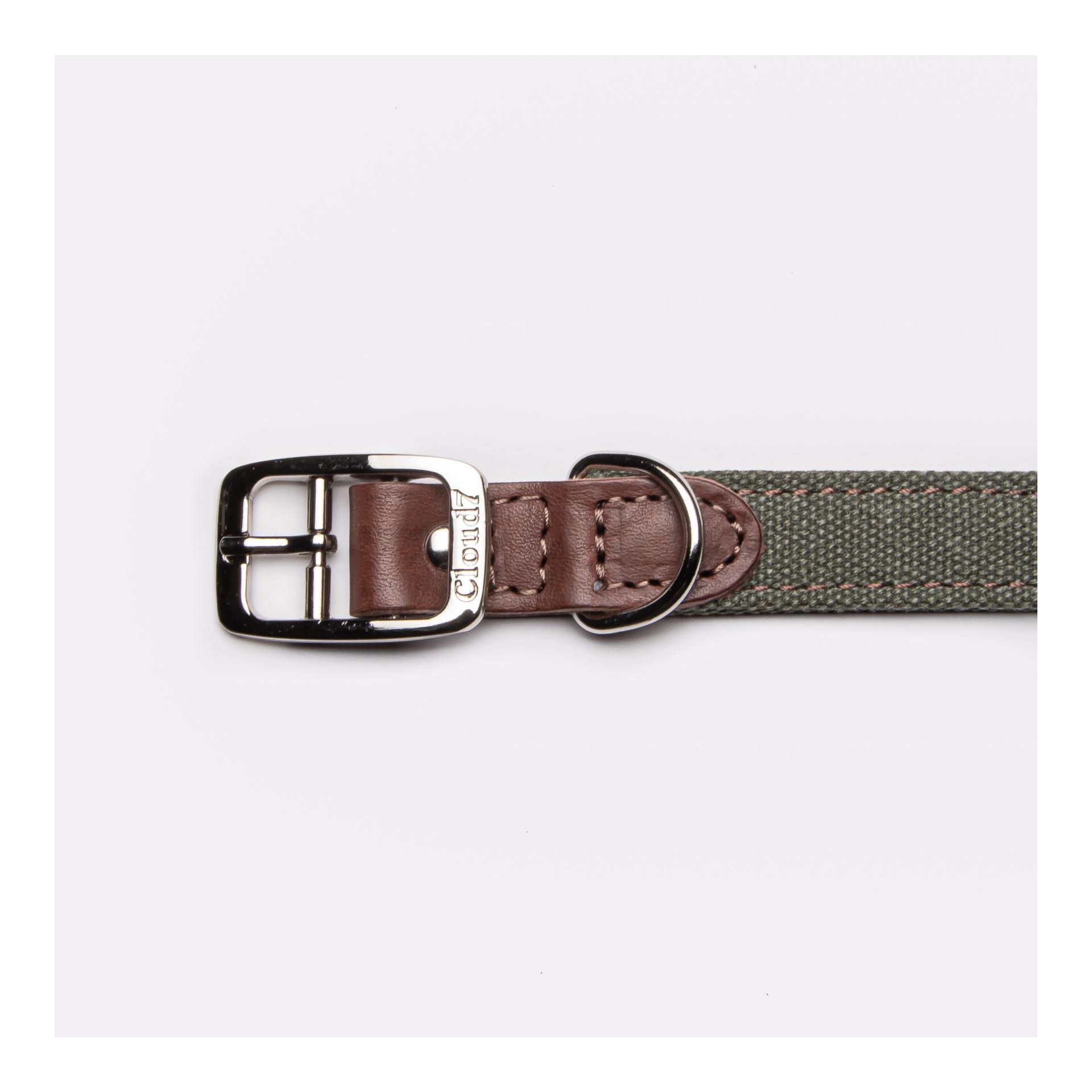 Cloud 7 Collier pour chien Tivoli - olive