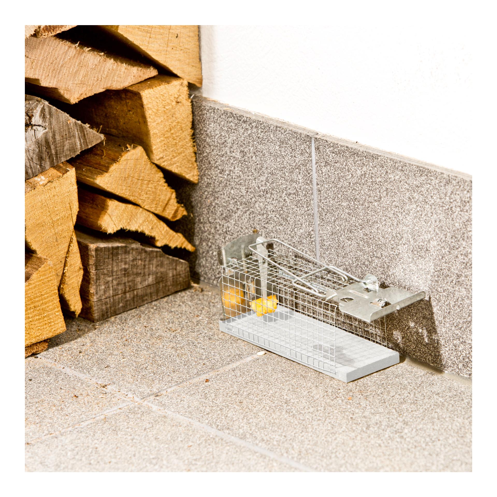 Windhager Cage pour capturer les rats