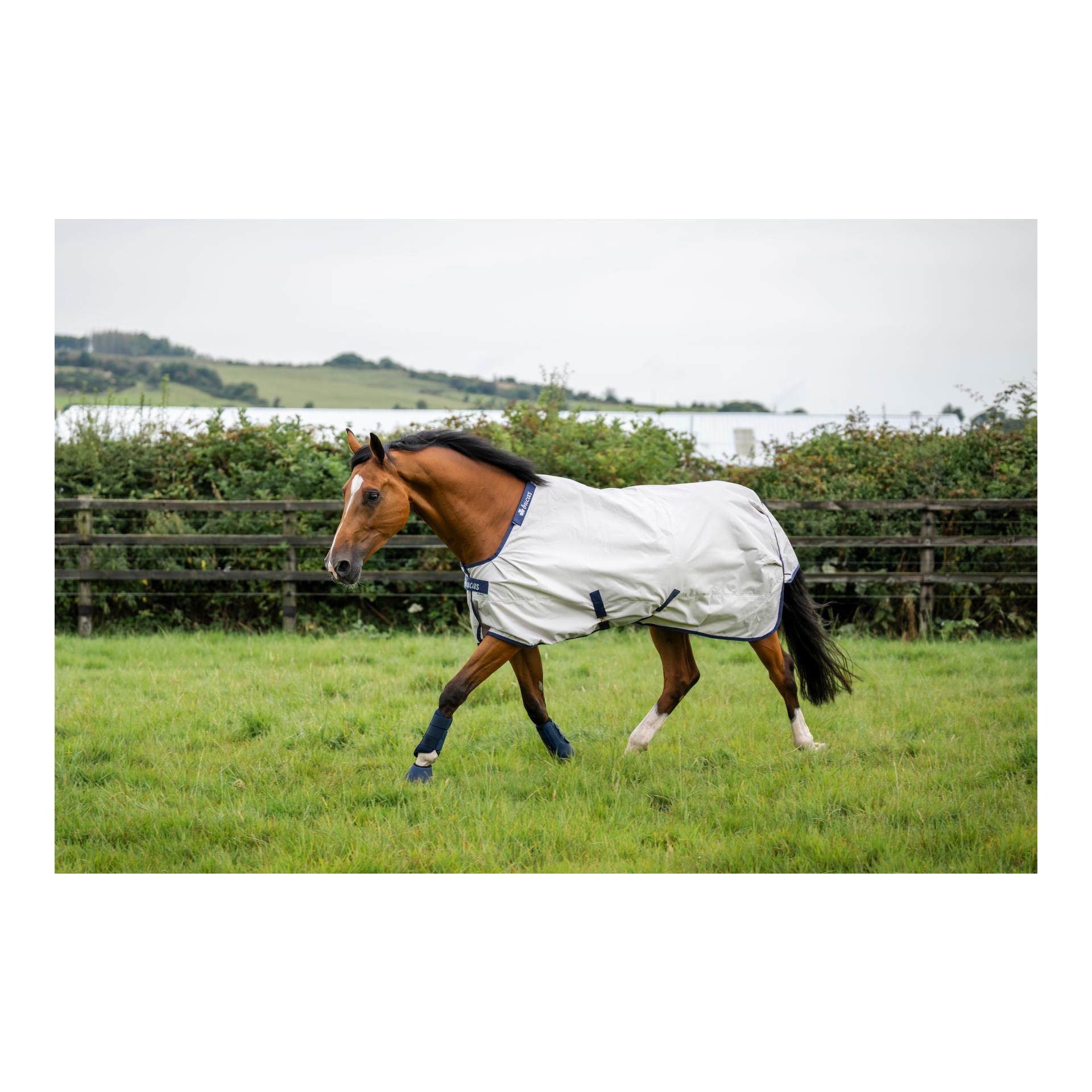 Bucas Weidedecke Sun Shower - silver