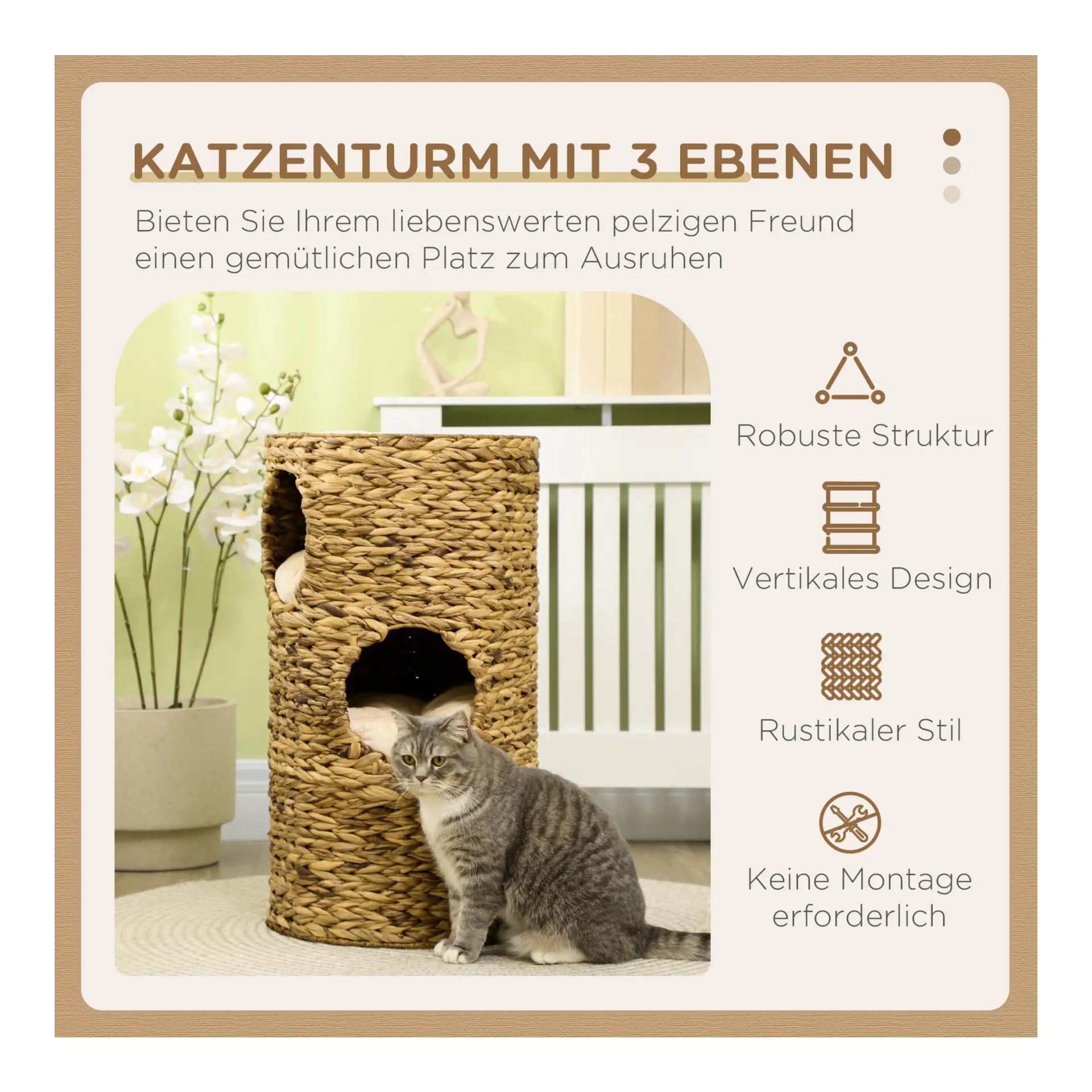 Mainer Katzenhöhle
