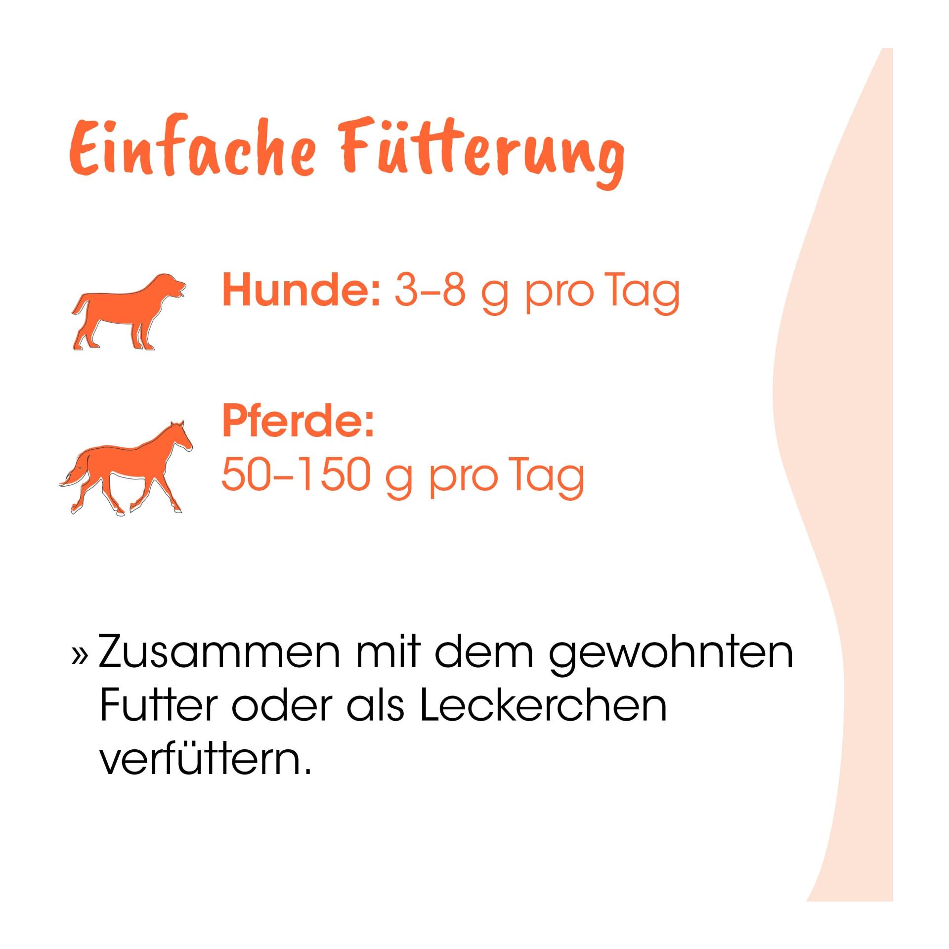 cdVet Singulares Bio-Schwarzkümmelsticks