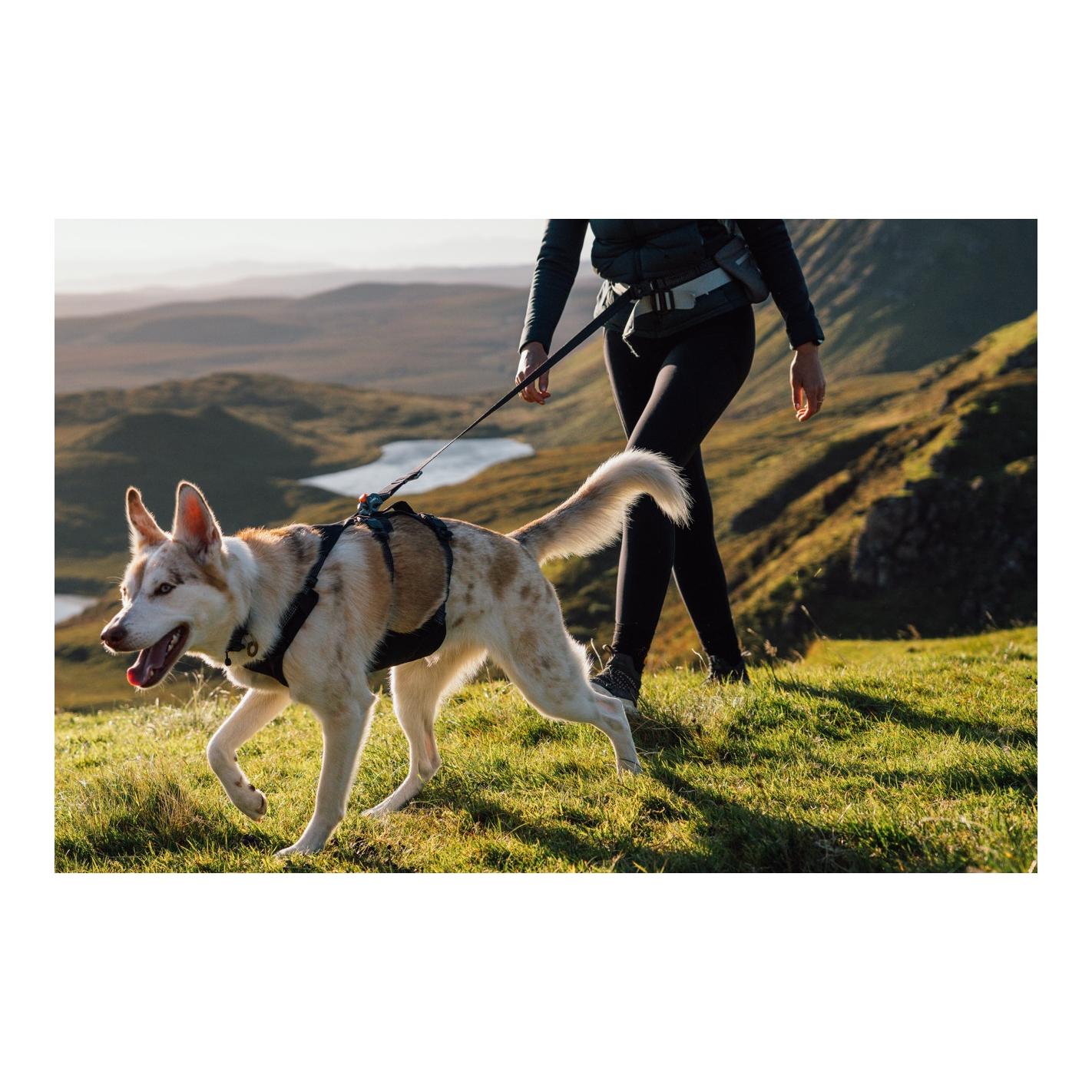 Ruffwear Ridgeline™ Harnais pour chien