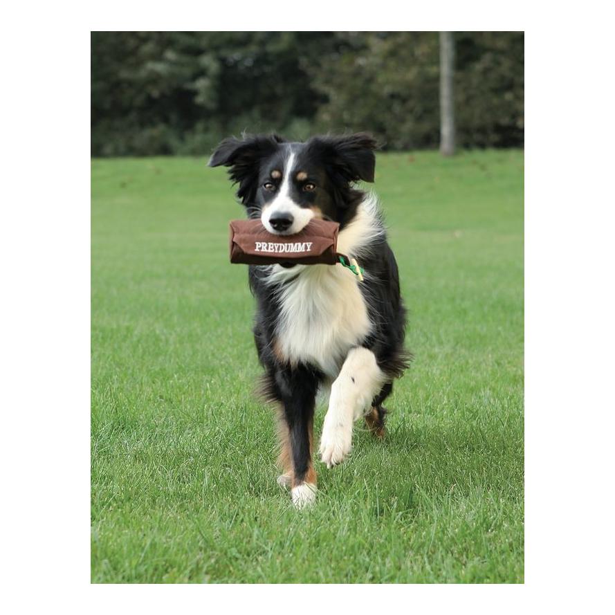 TRIXIE Preydummy Canvas Beutel für Futter - dunkelbraun