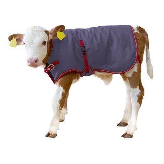 Kerbl Kälberdecke ThermoPlus