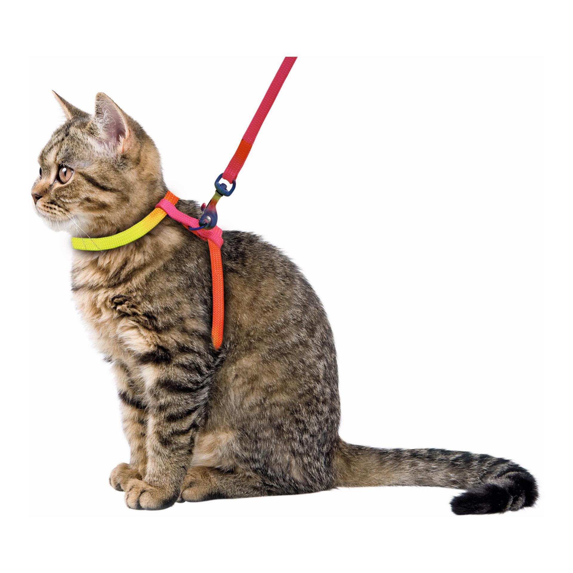 Kerbl Pet Katzengeschirr Rainbow