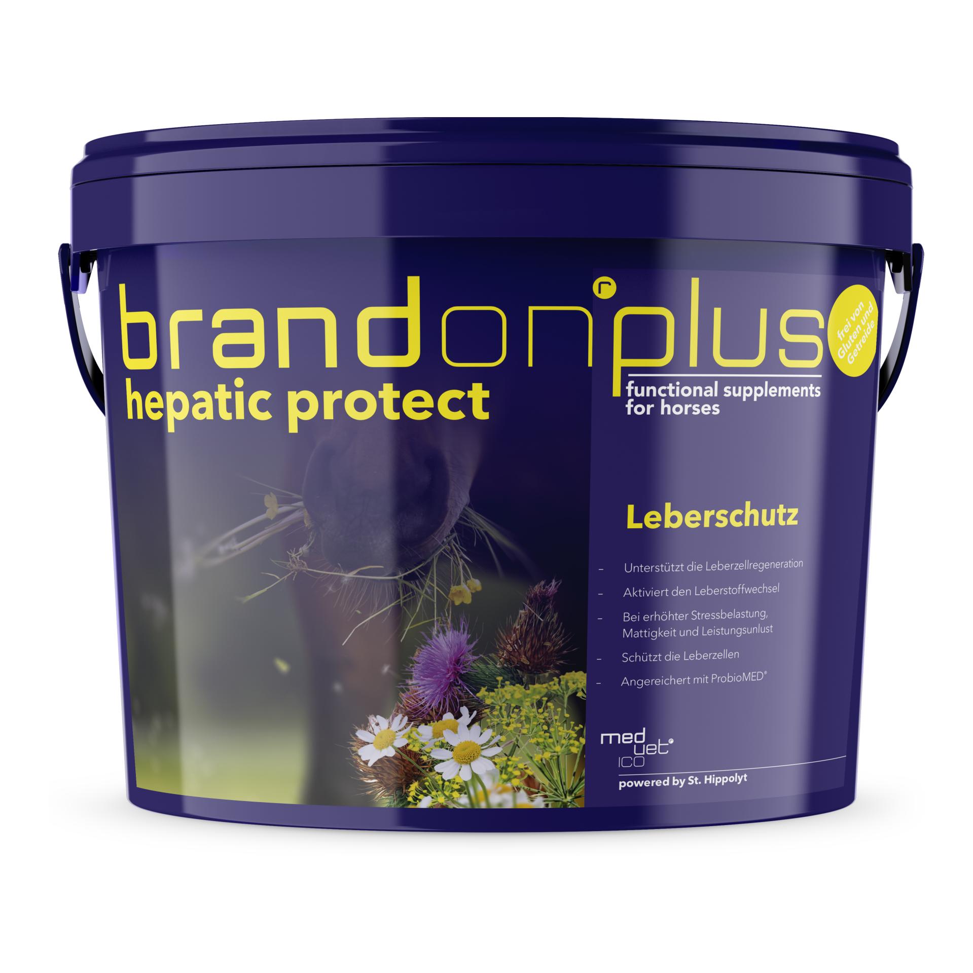 Brandon Plus Hepatic Protect