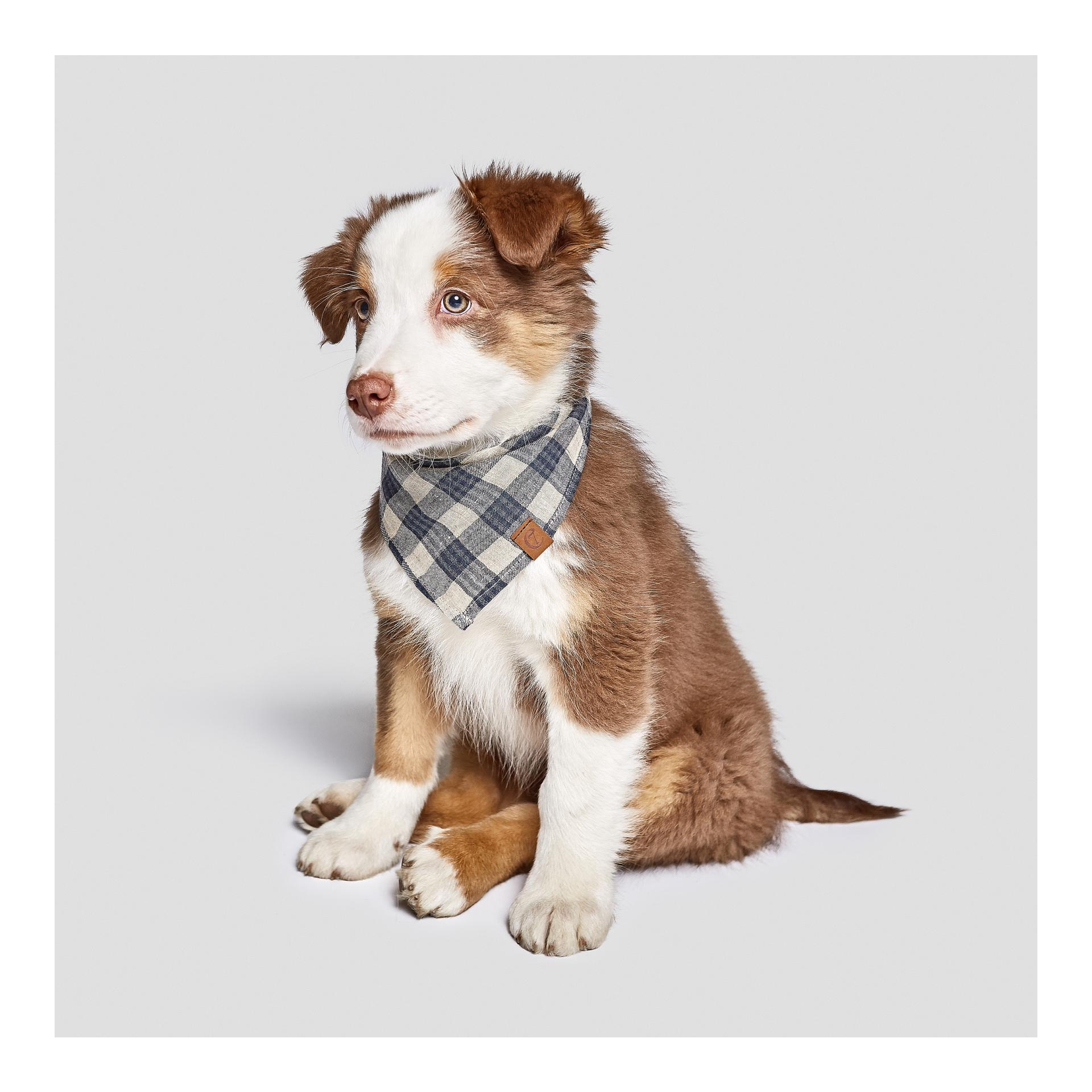 Cloud 7 Bandana Check - blau / beige