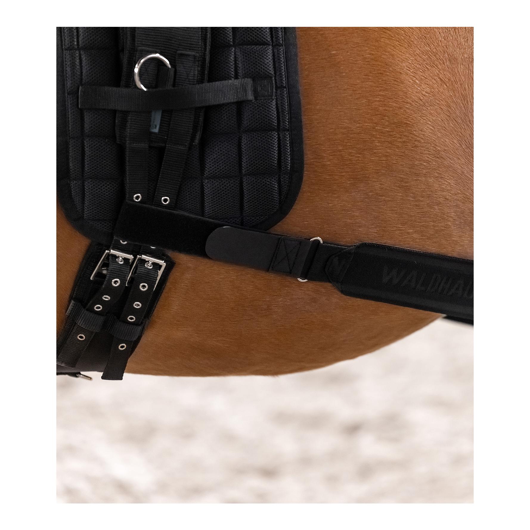 Waldhausen Bandage corporel - Activation des membres postérieurs