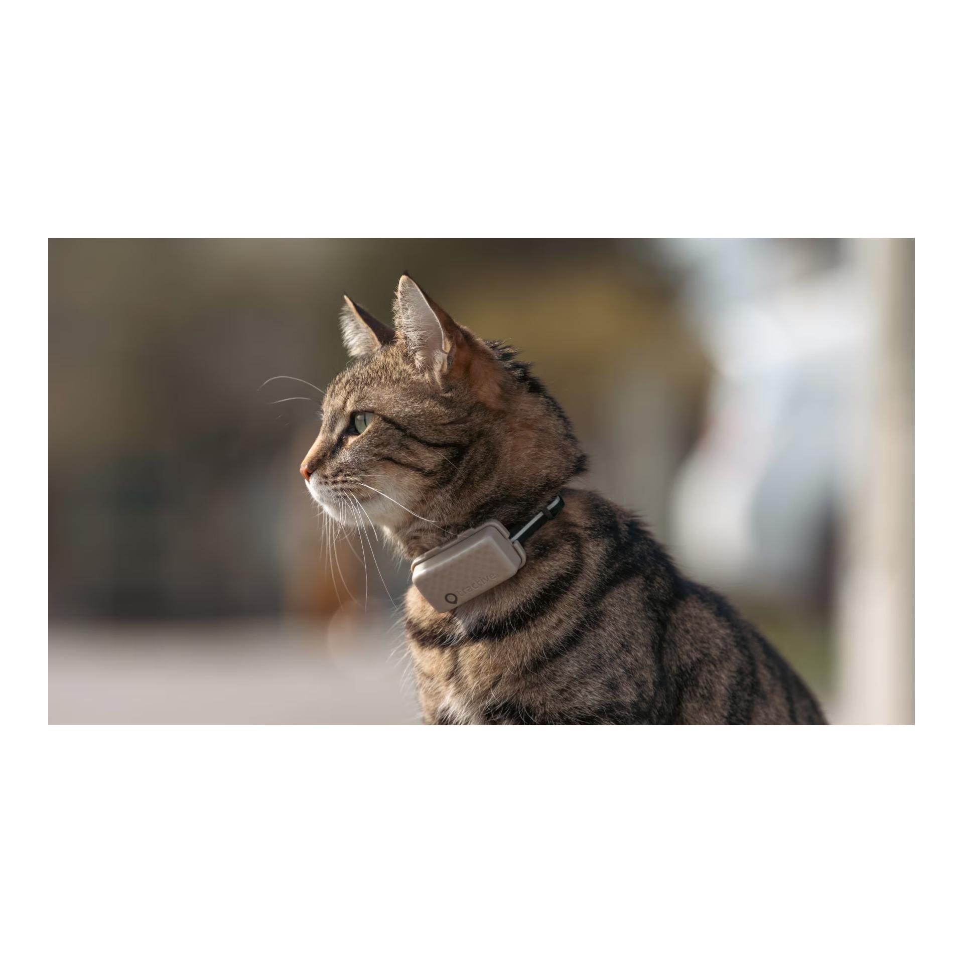 Tractive Tracker GPS pour chats CAT Mini