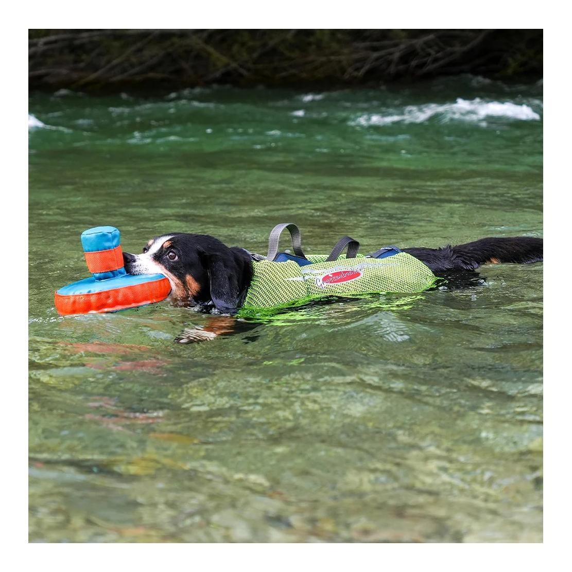 Beat Grossenbacher Schwimmweste für Hunde