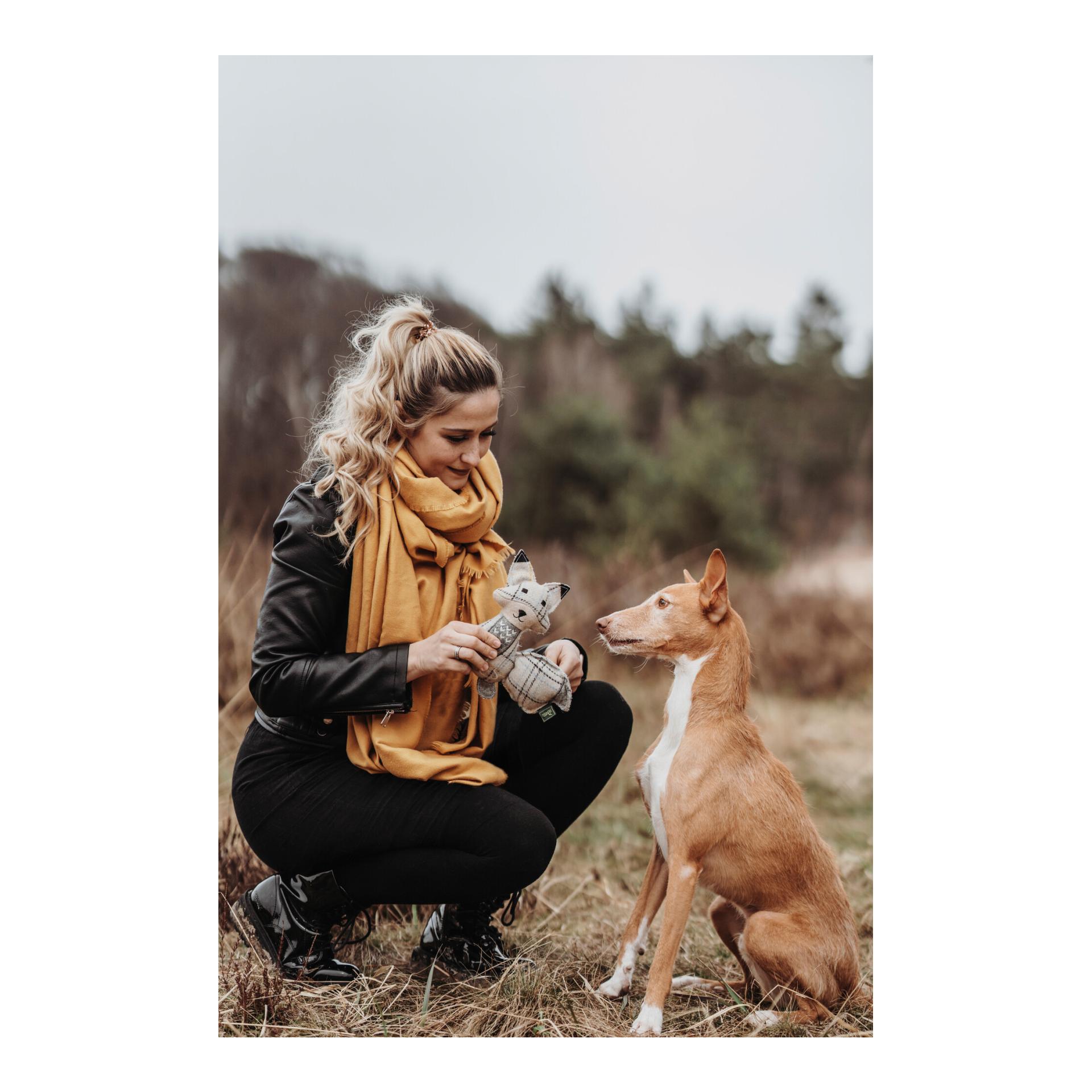 Hunter Jouet pour chiens Billund Renard