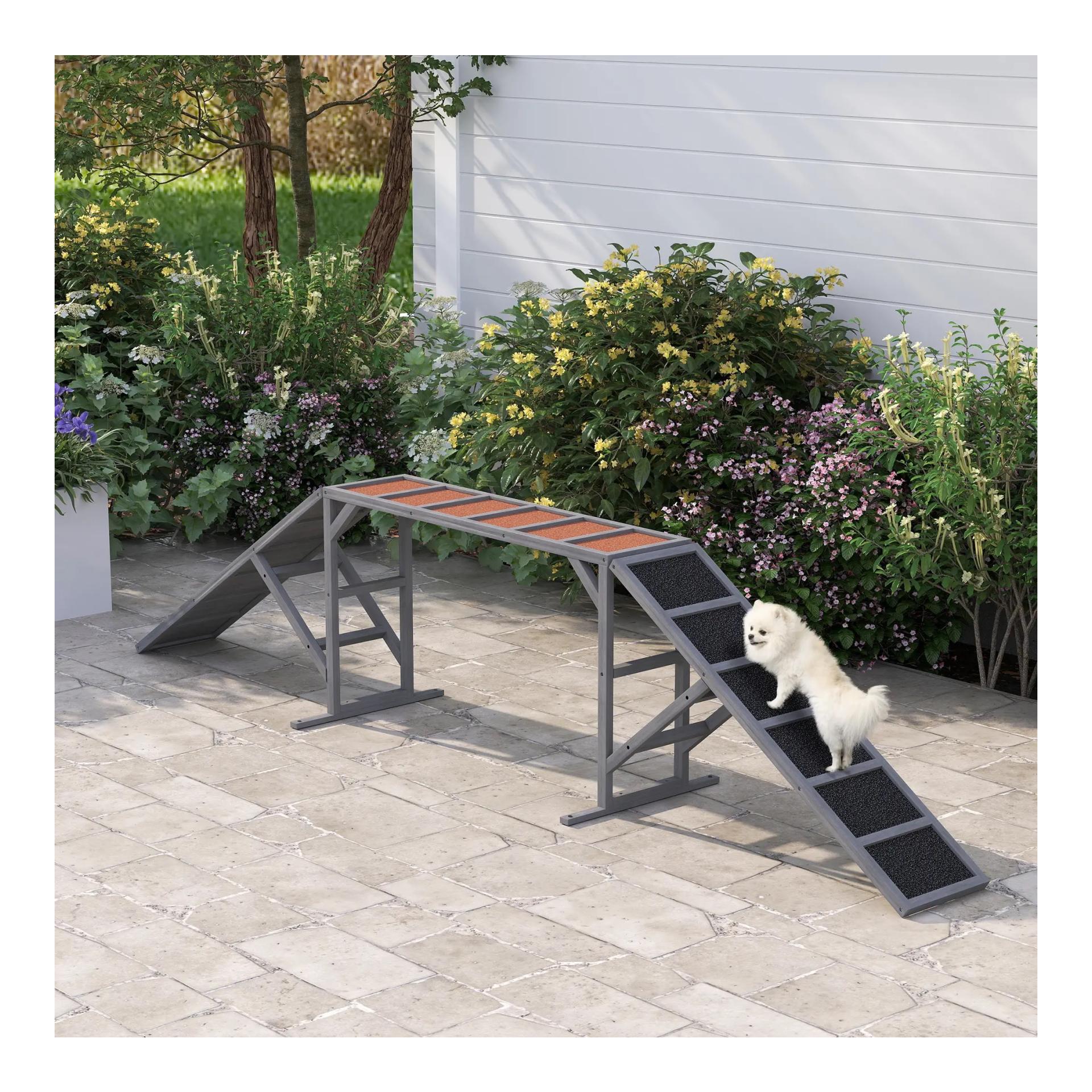 Mainer Hunde Agility-Steg