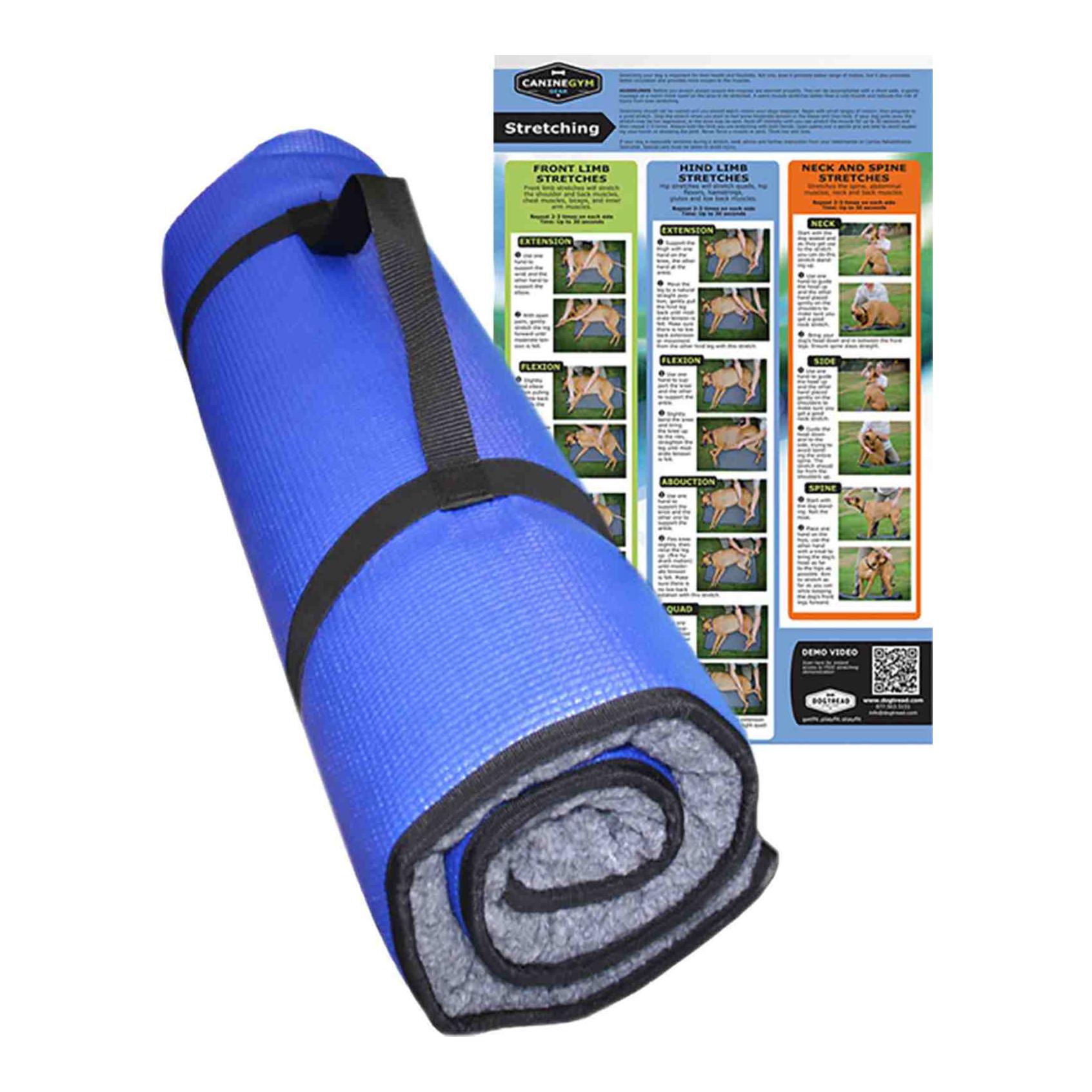 FitPaws K9FITbed