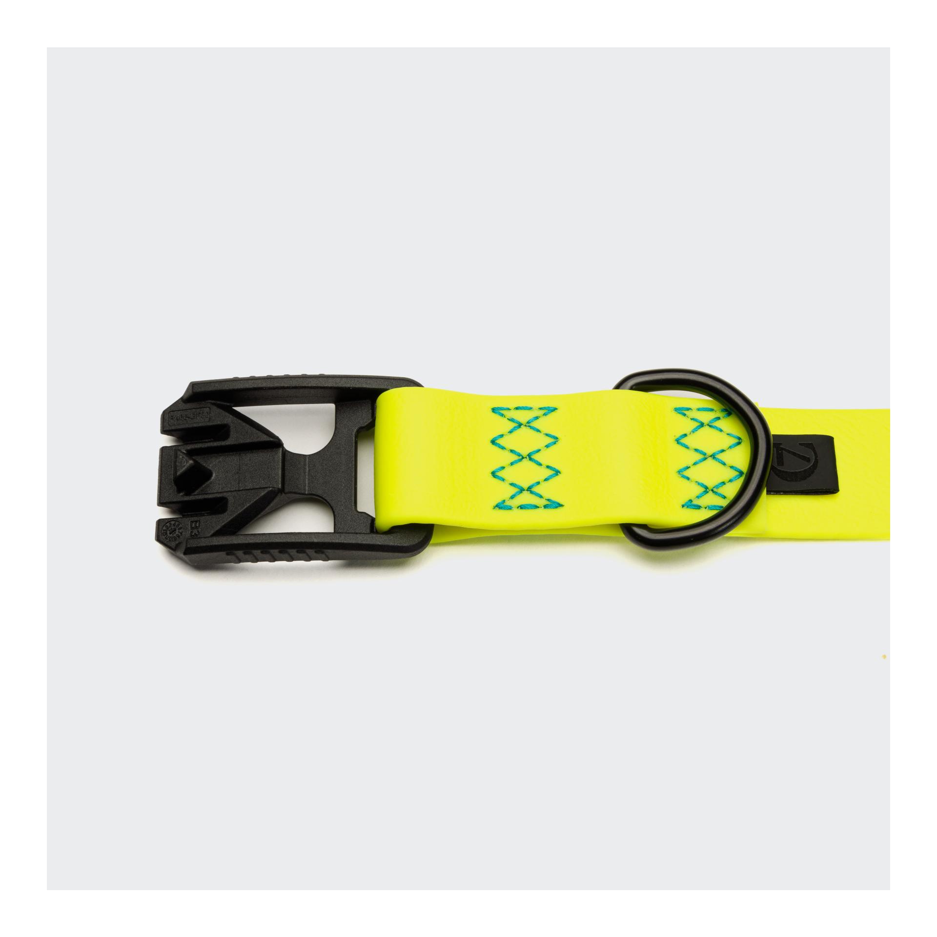 Cloud 7 Collier de chien Biothane Ipanema