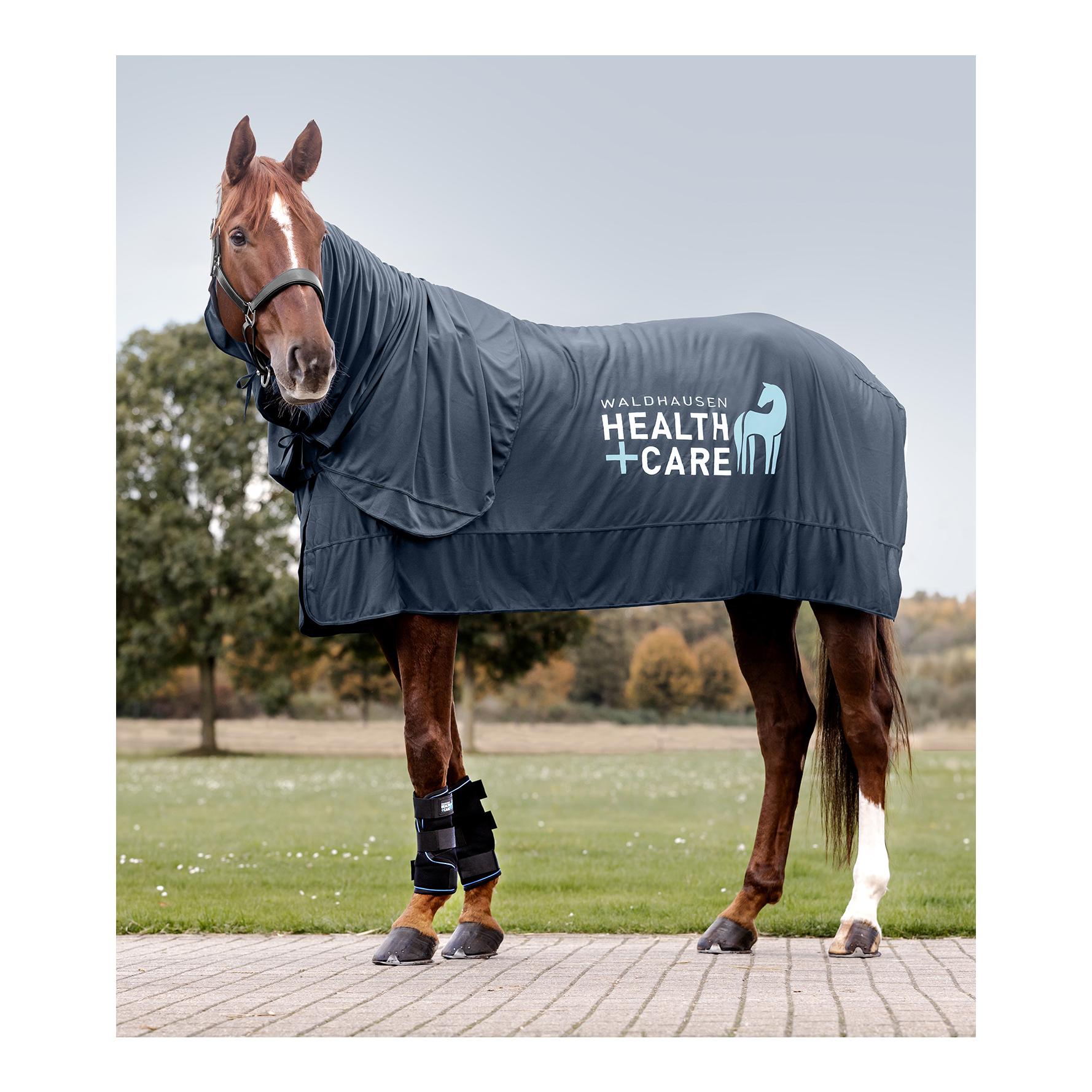 Health + Care Waldhausen Health + Care Ice Layer Decke