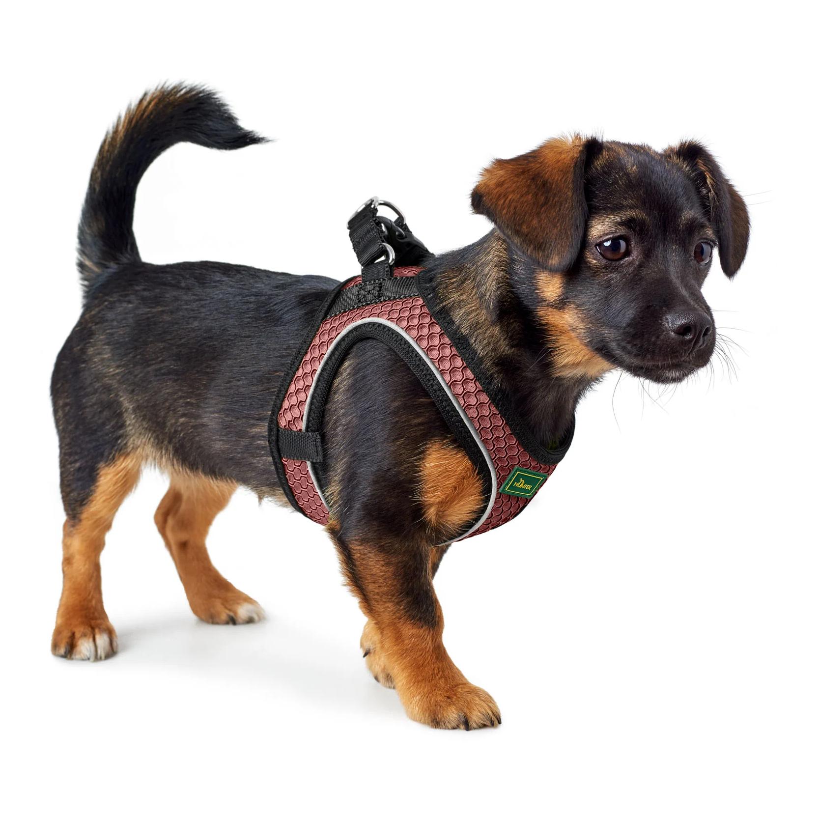Hunter Harnais pour chien Hilo Comfort