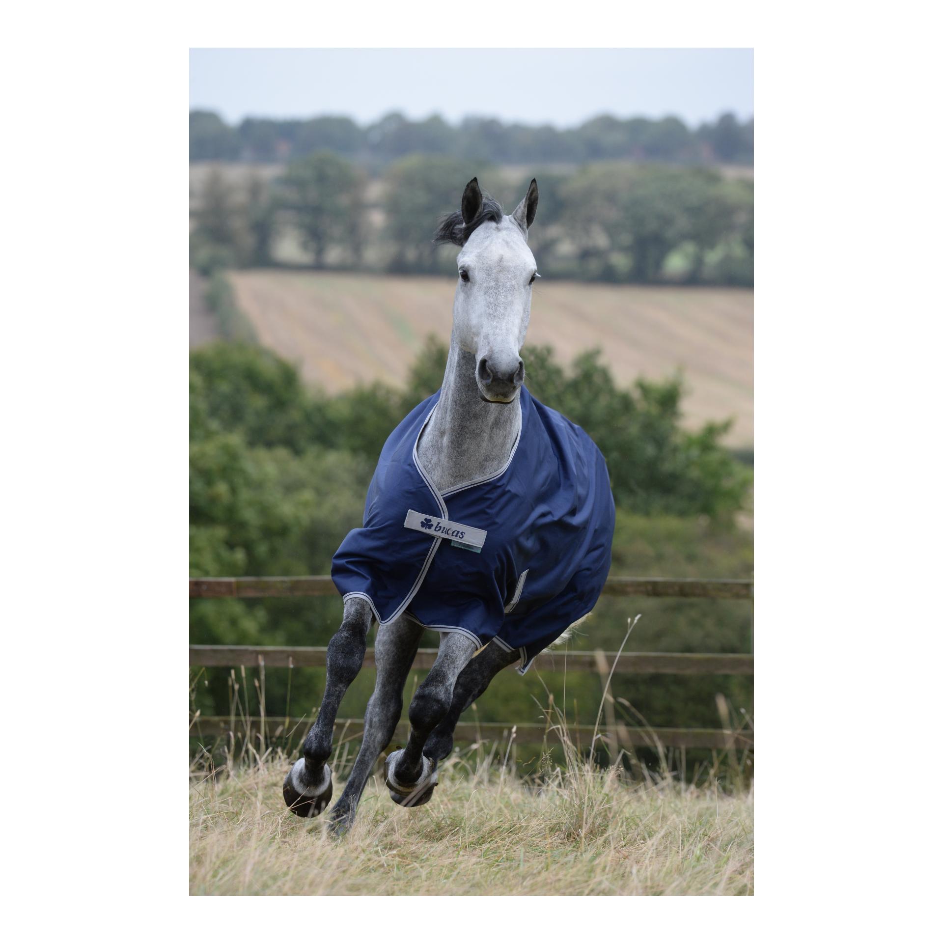 Bucas Weidedecke FREEDOM Turnout 150g - navy/silber