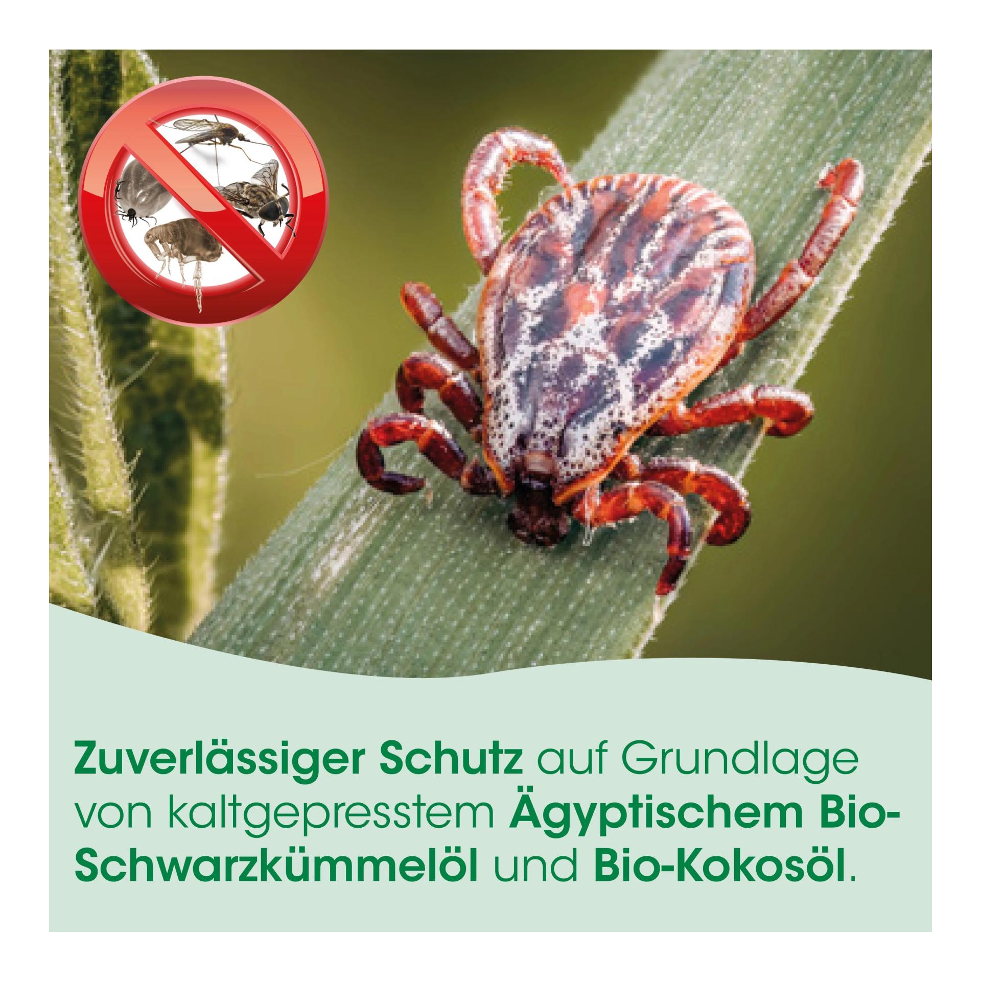 cdVet insektoVet Combi SpotOn