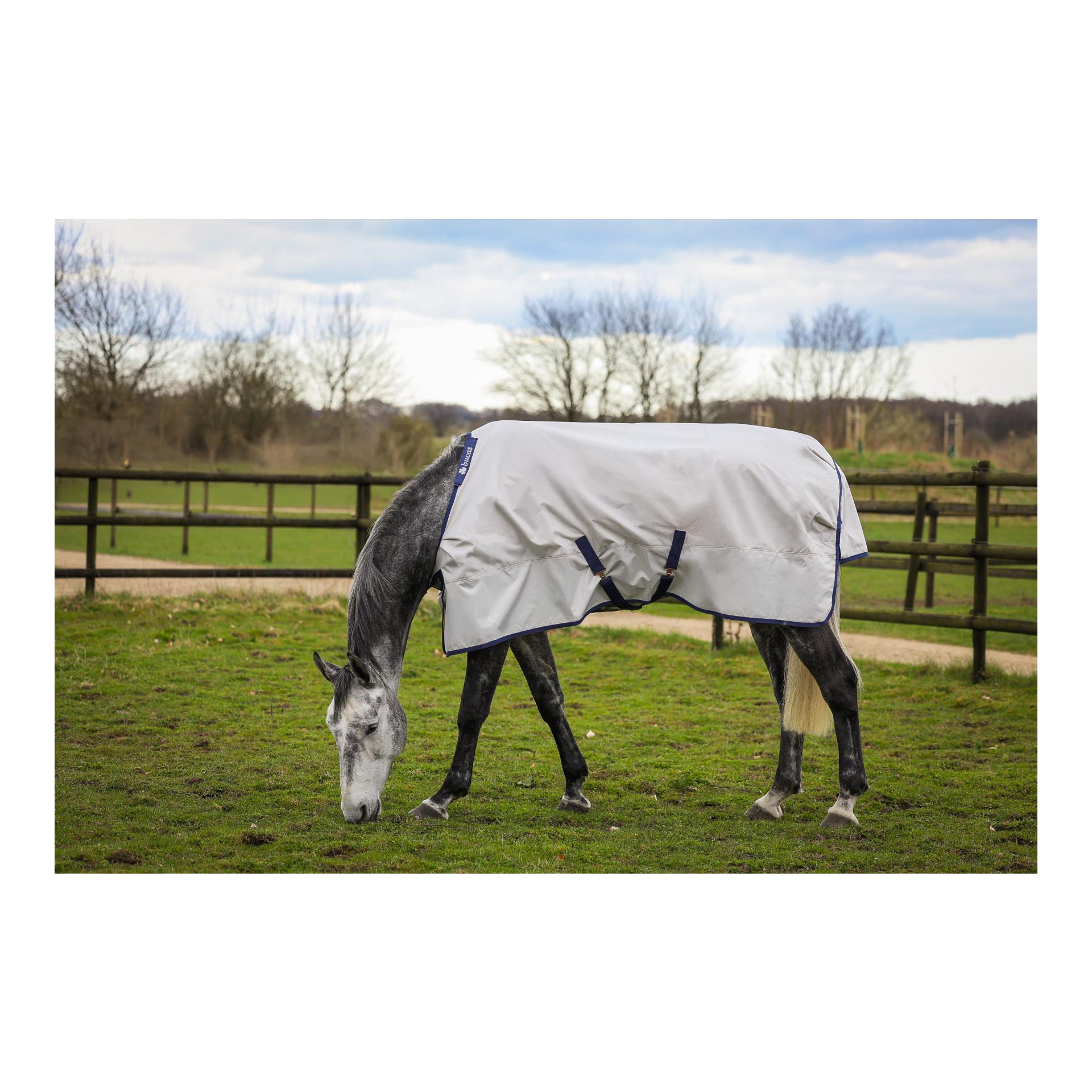 Bucas Weidedecke Sun Shower - silver