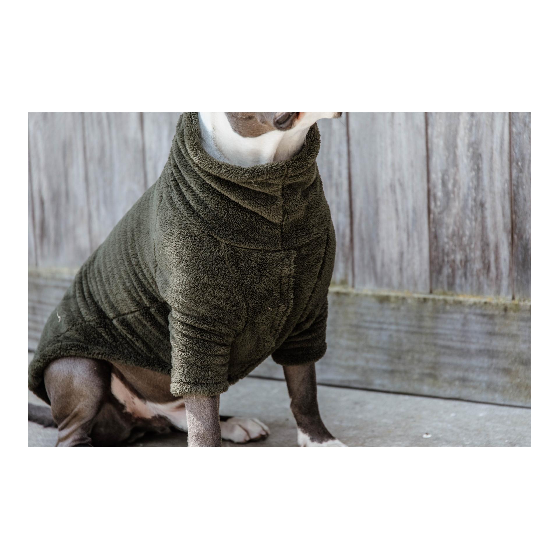Kentucky Dogwear Pullover pour chien Teddy Fleece - Pine Green