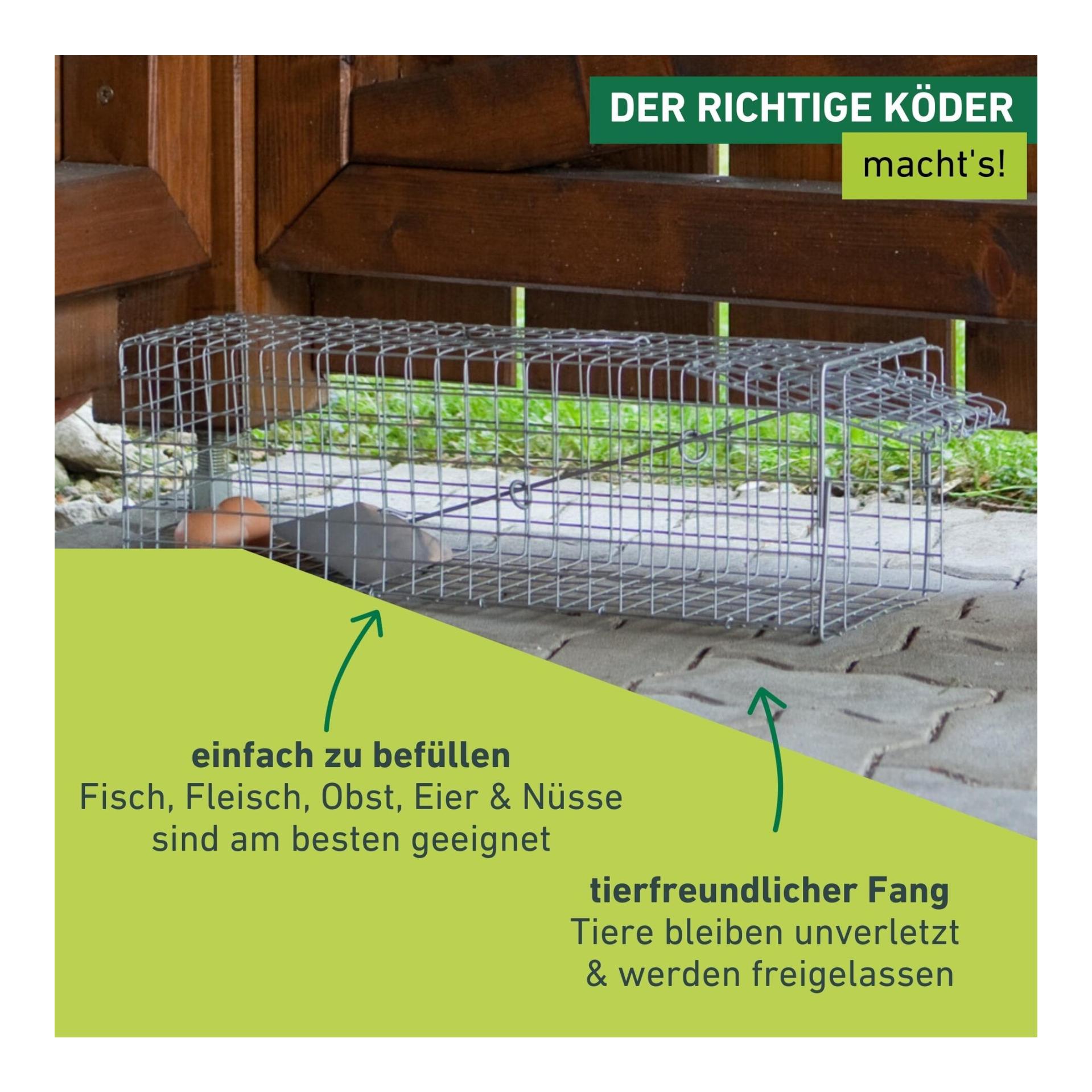 Windhager Piège à martres avec cage grillagée galvanisée