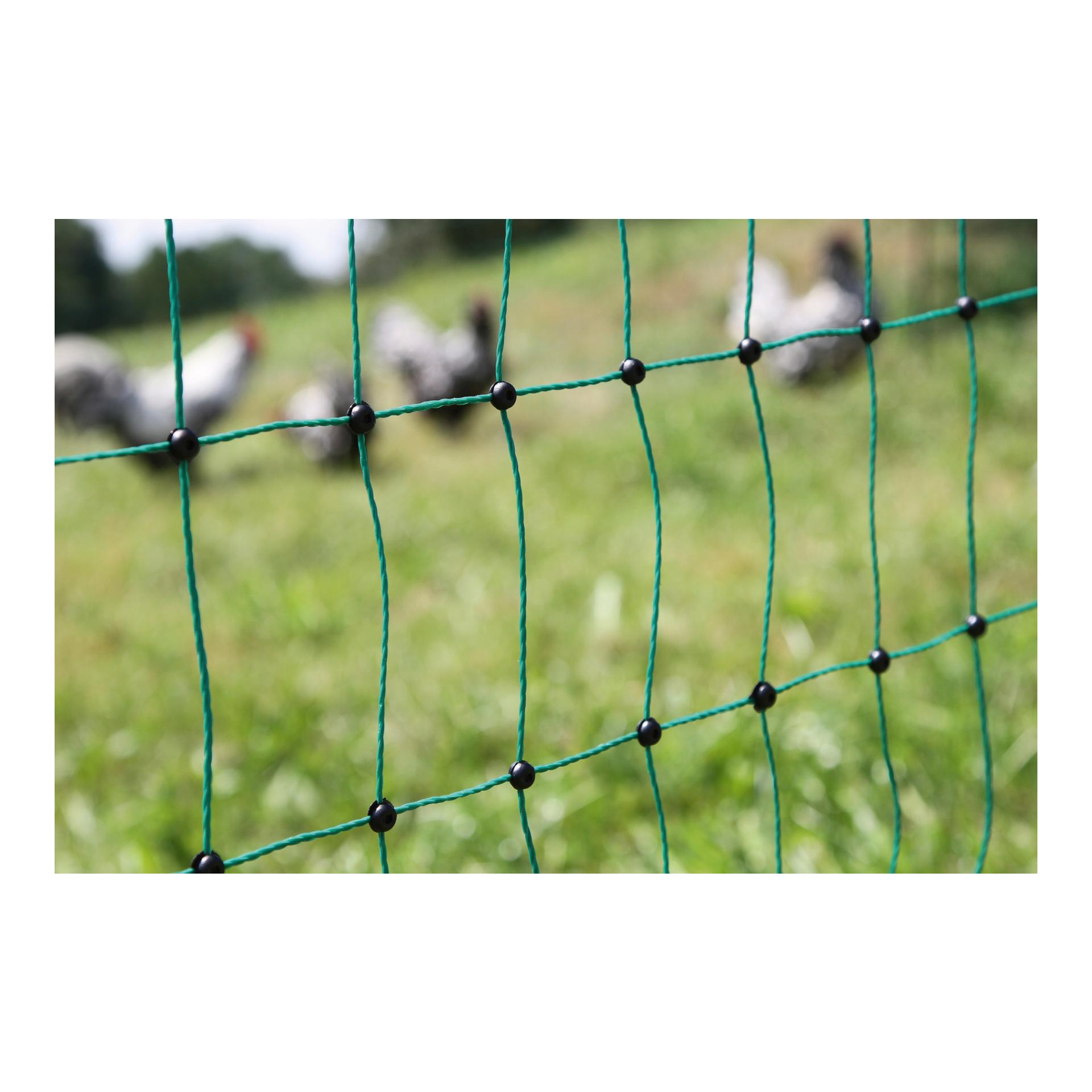 AKO Geflügelnetz PoultryNet - Doppelspitz