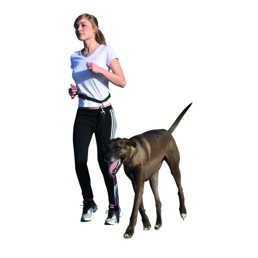 Kerbl Pet Laisse de jogging Active avec ceinture