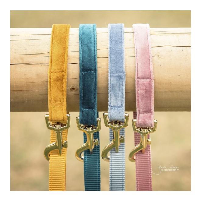 Kentucky Dogwear Laisse pour chien Velvet - light blue