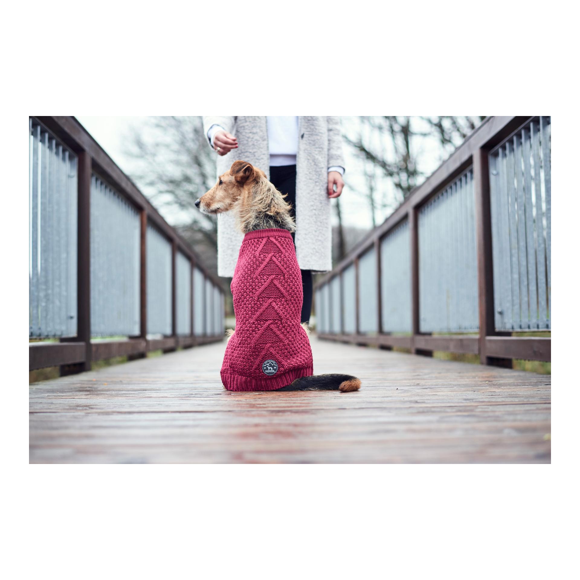 Hunter Pullover pour chien Malmö - bordeaux