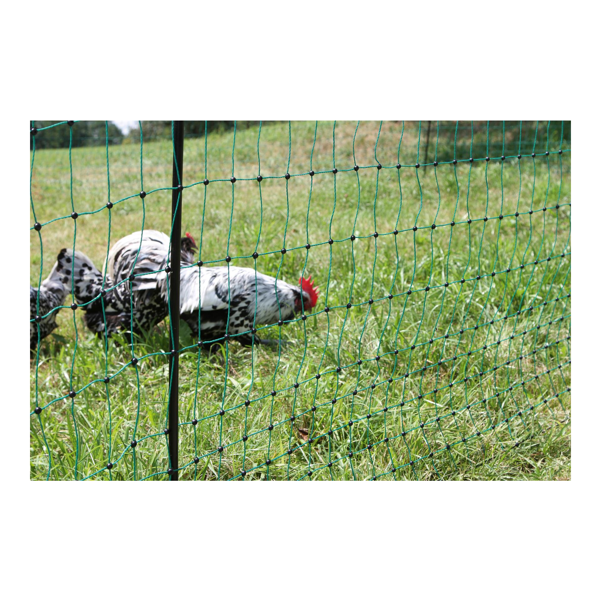 AKO Geflügelnetz PoultryNet - Doppelspitz