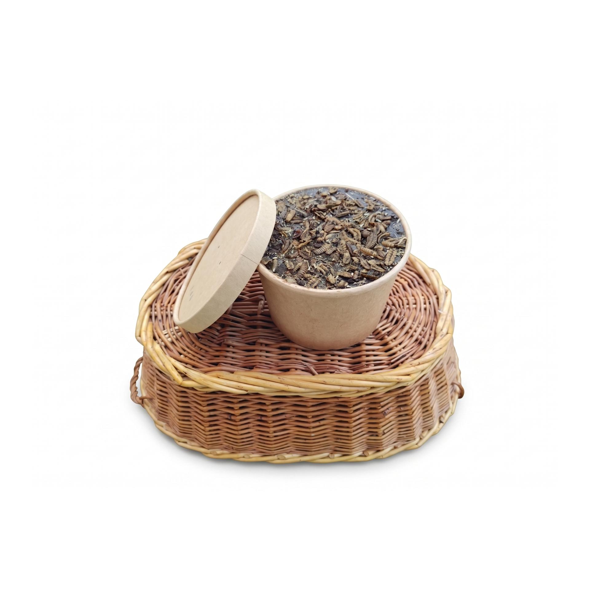 Hauptner Larvuccino - Hühner-Insekten-Ergänzungsfutter