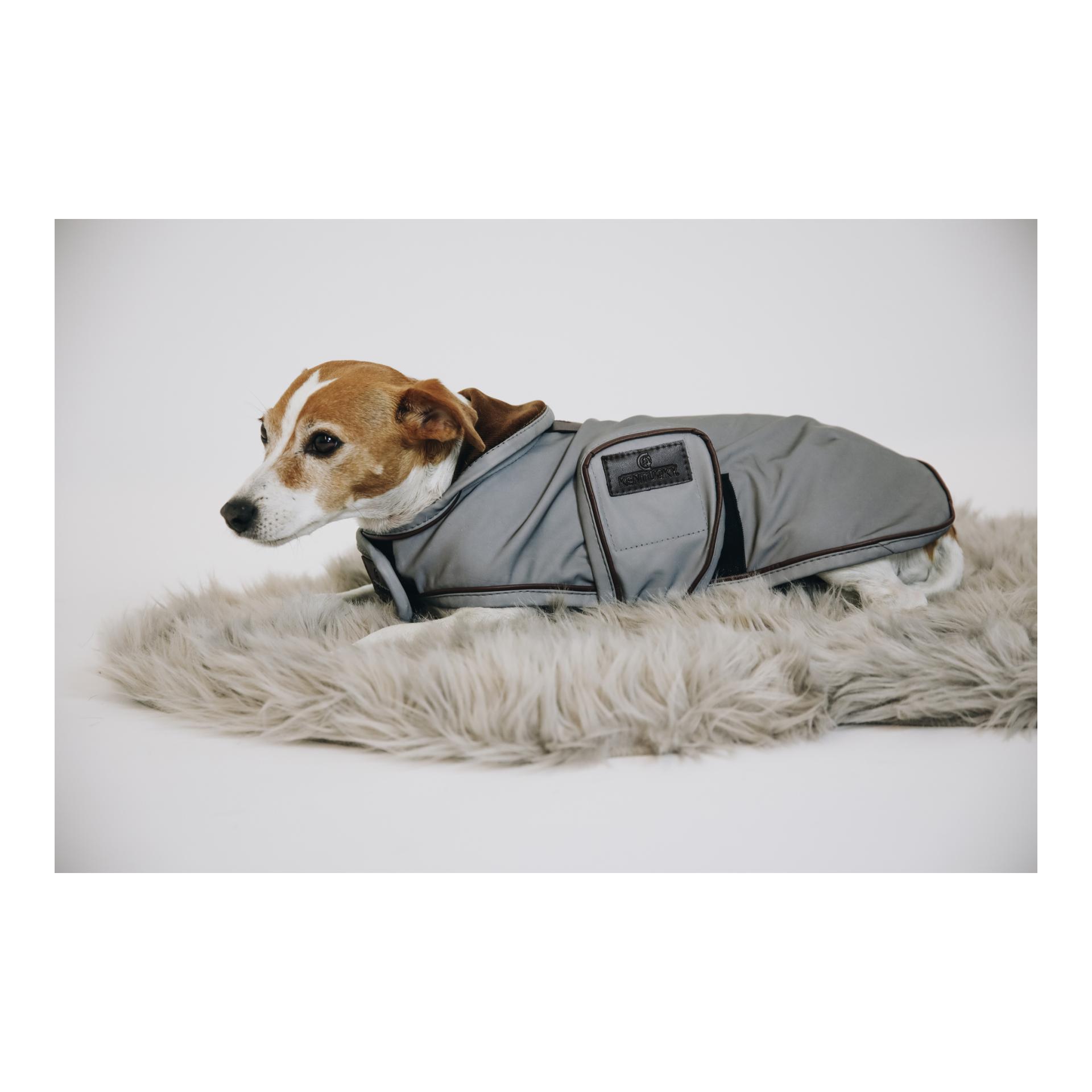 Kentucky Dogwear Manteau pour chien réfléchissant &amp; imperméable
